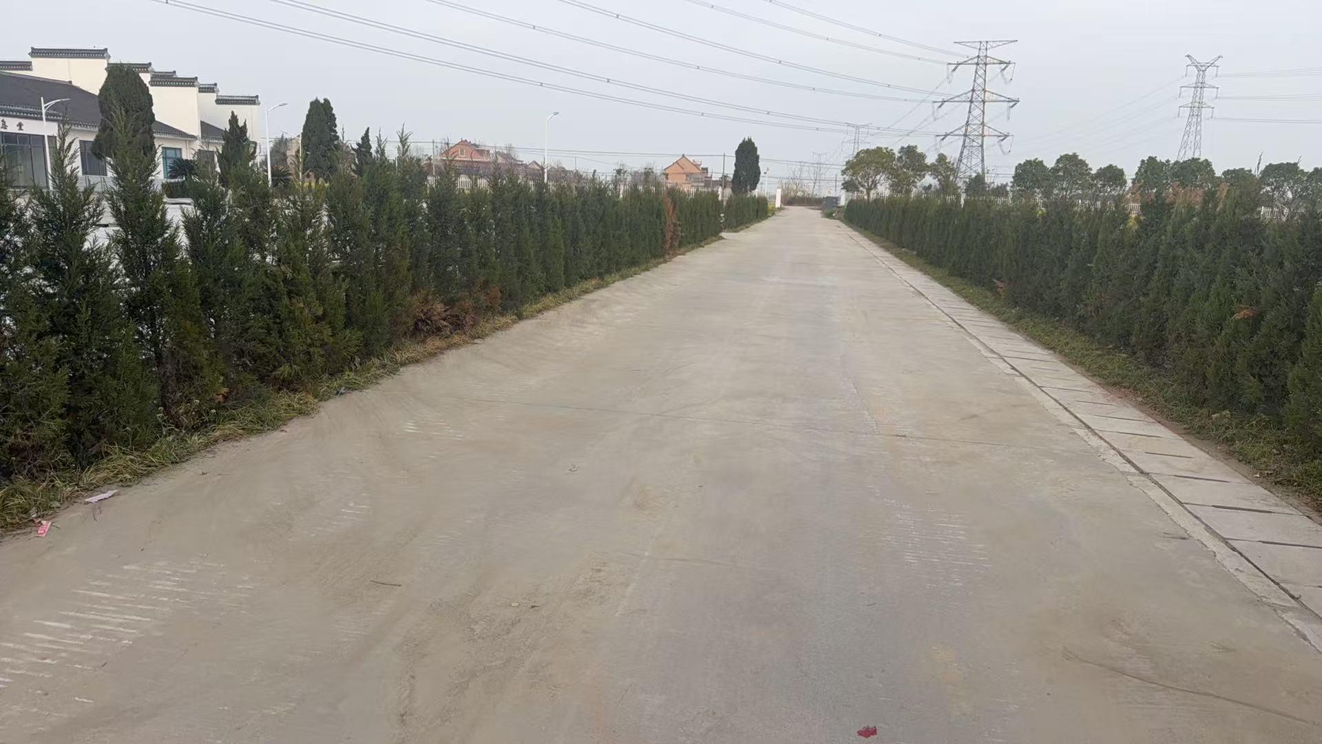 如皋市石庄镇公益性公墓园区图片