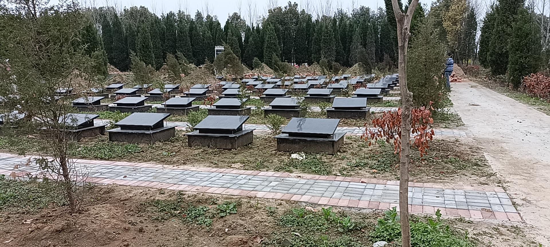 程家集镇公益性公墓园区图片