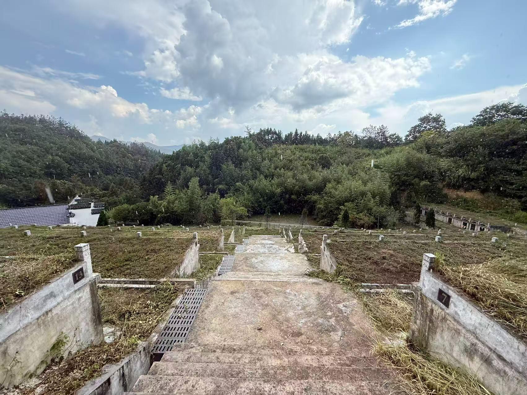 版书镇镇级公墓园区图片