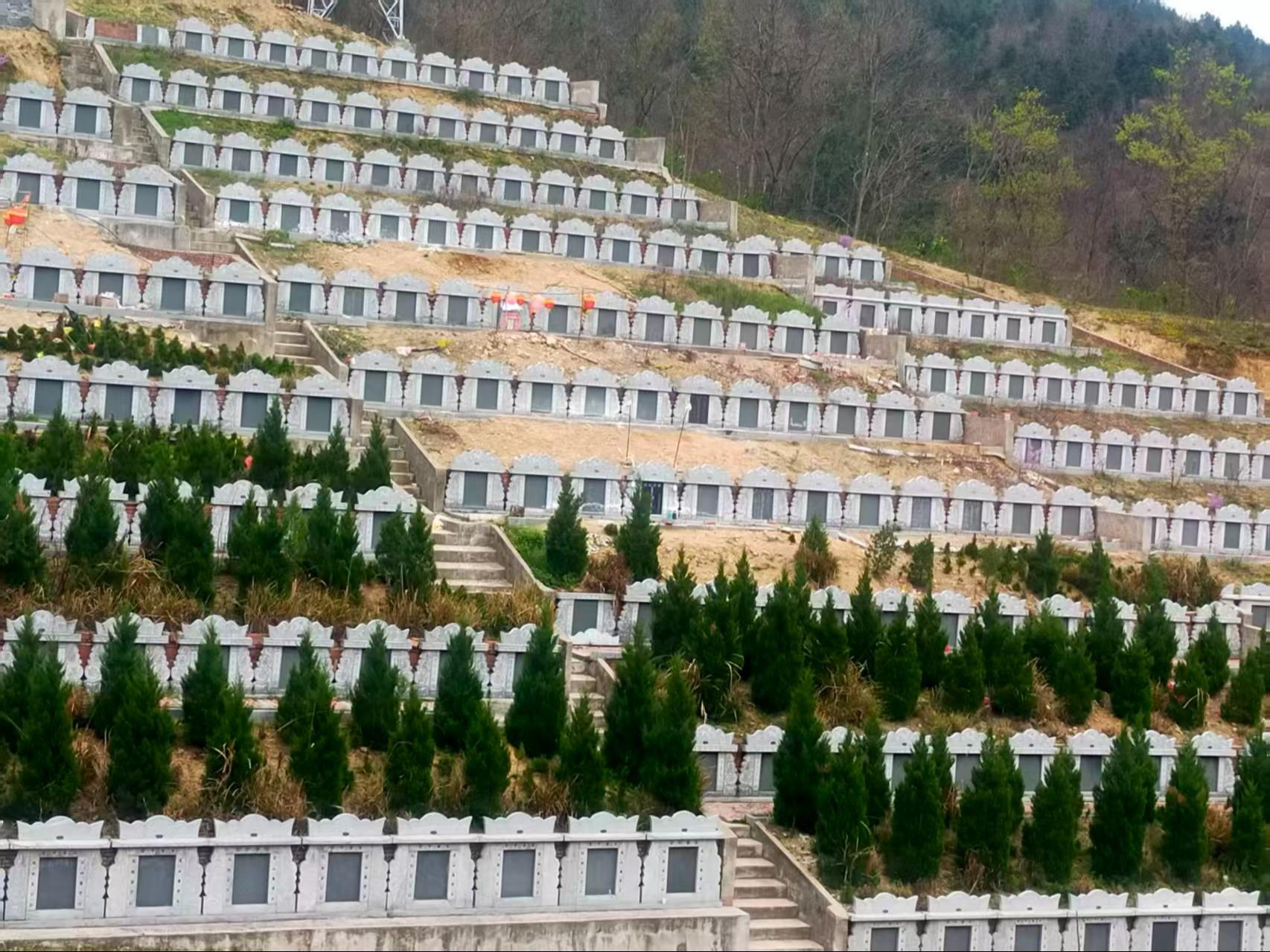 桃岭乡官山公墓园区图片