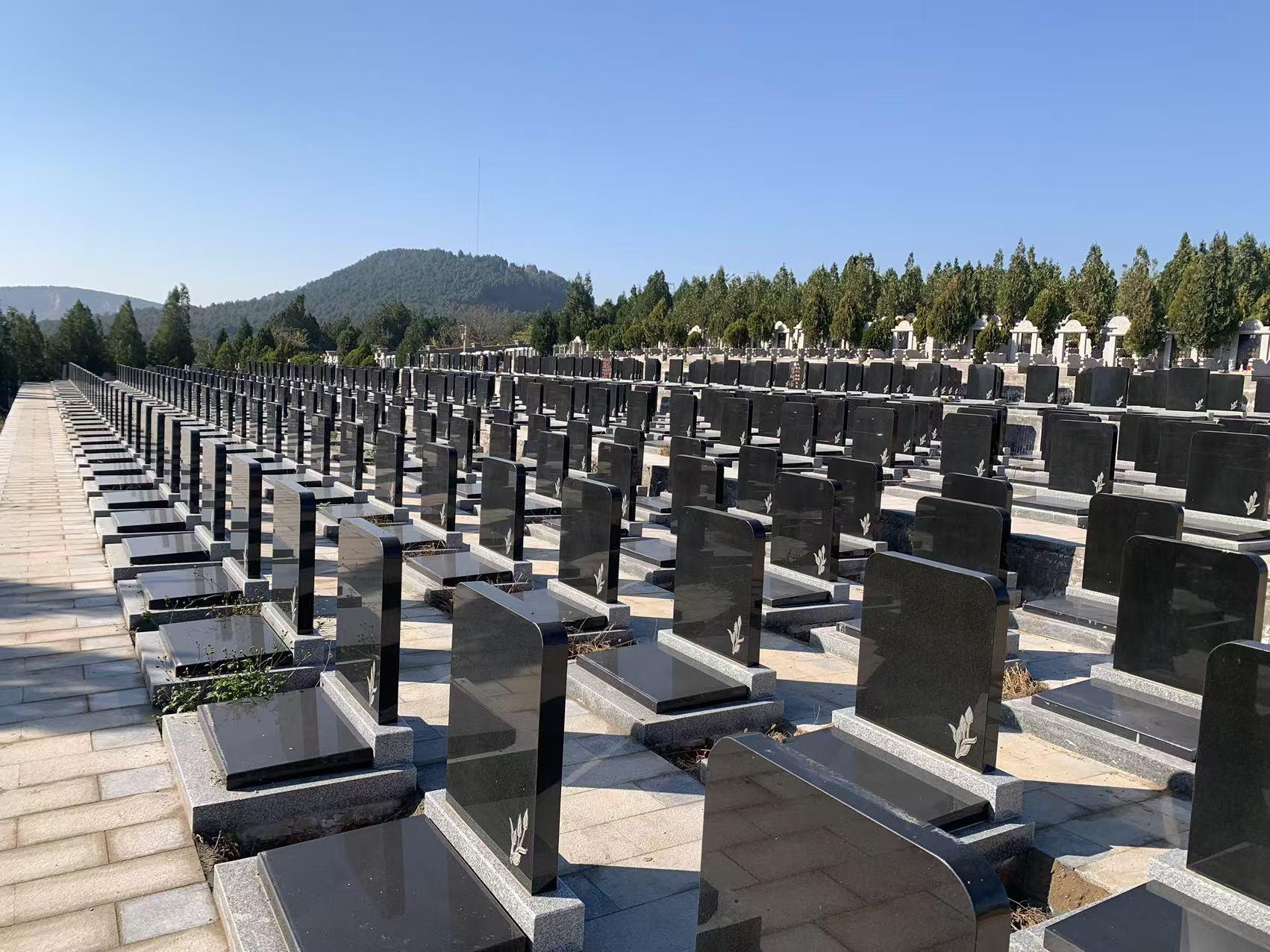 蚌埠市城市公益性公墓园区图片