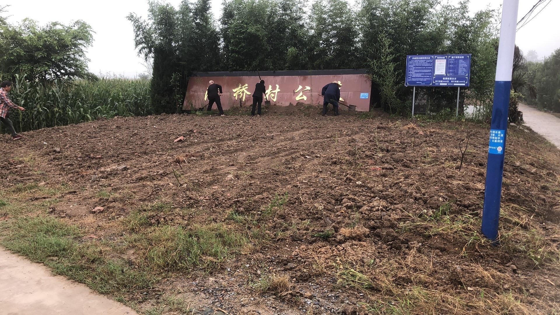 石湖乡公益性公墓园区图片