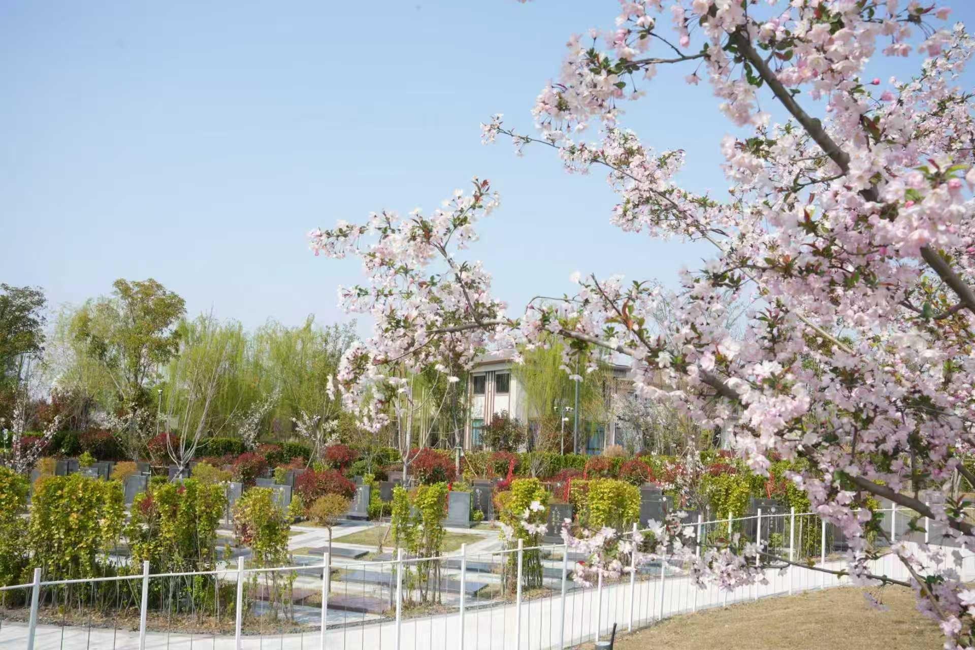 盐都区宁安城市公益性公墓(盐城市广泽园管理服务有限公司)园区图片