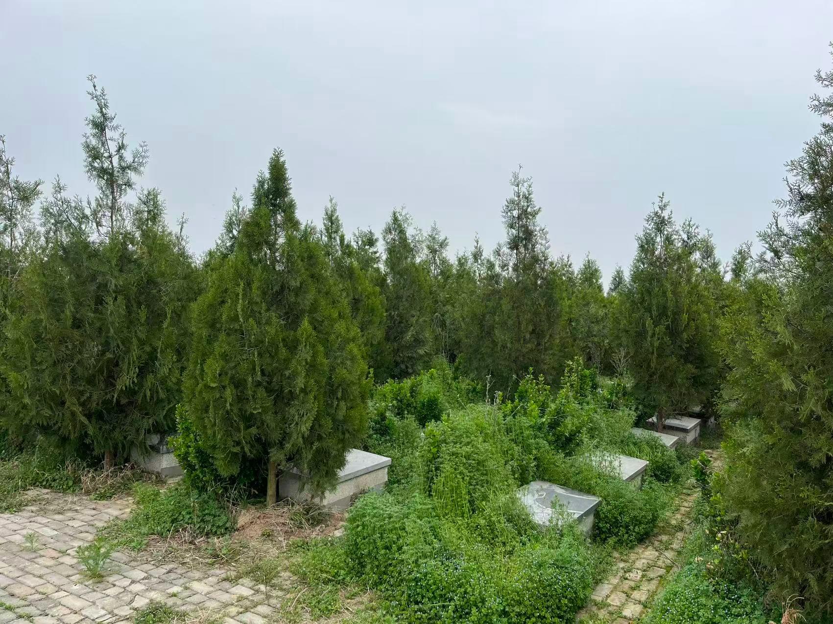 西潘楼镇公益性墓地园区图片
