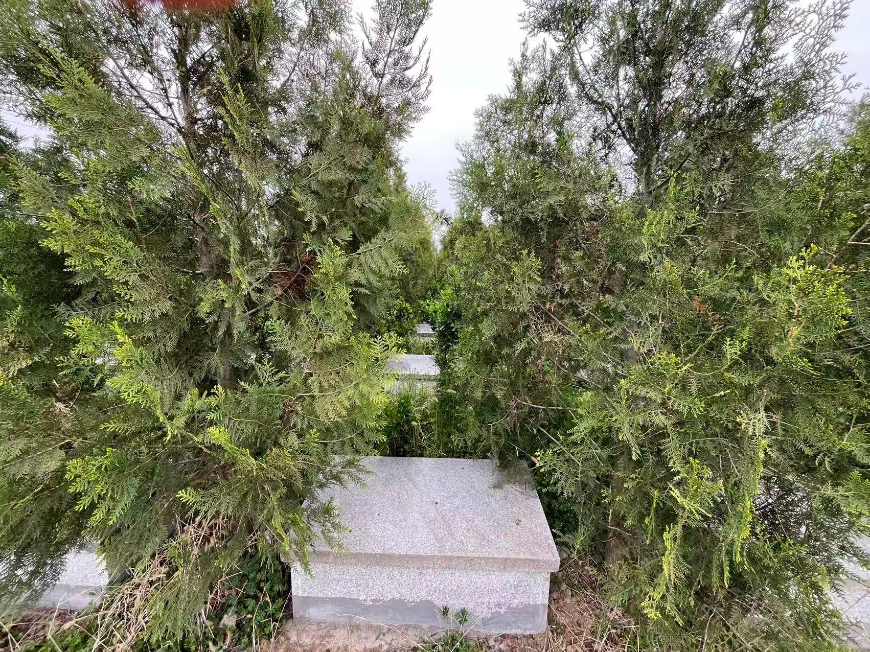 西潘楼镇公益性墓地园区图片