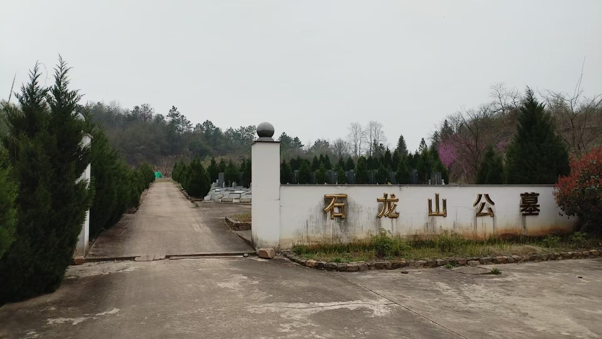 桃花潭镇石龙山公墓园区图片