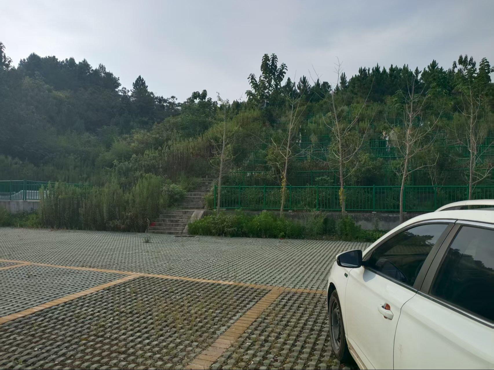 南陵县弋江镇铁拐公墓园区图片