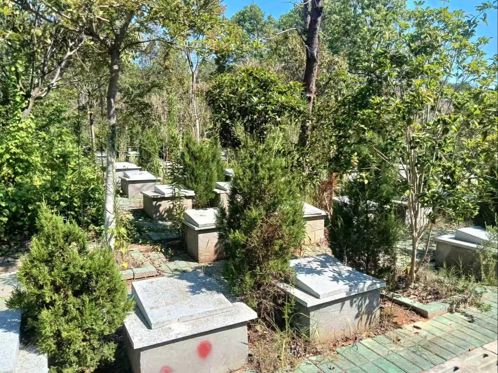 白兔山公墓园区图片