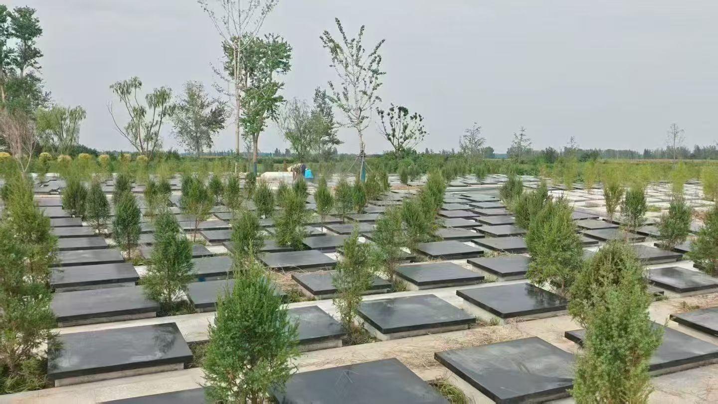 太和县城市公益性公墓园区图片