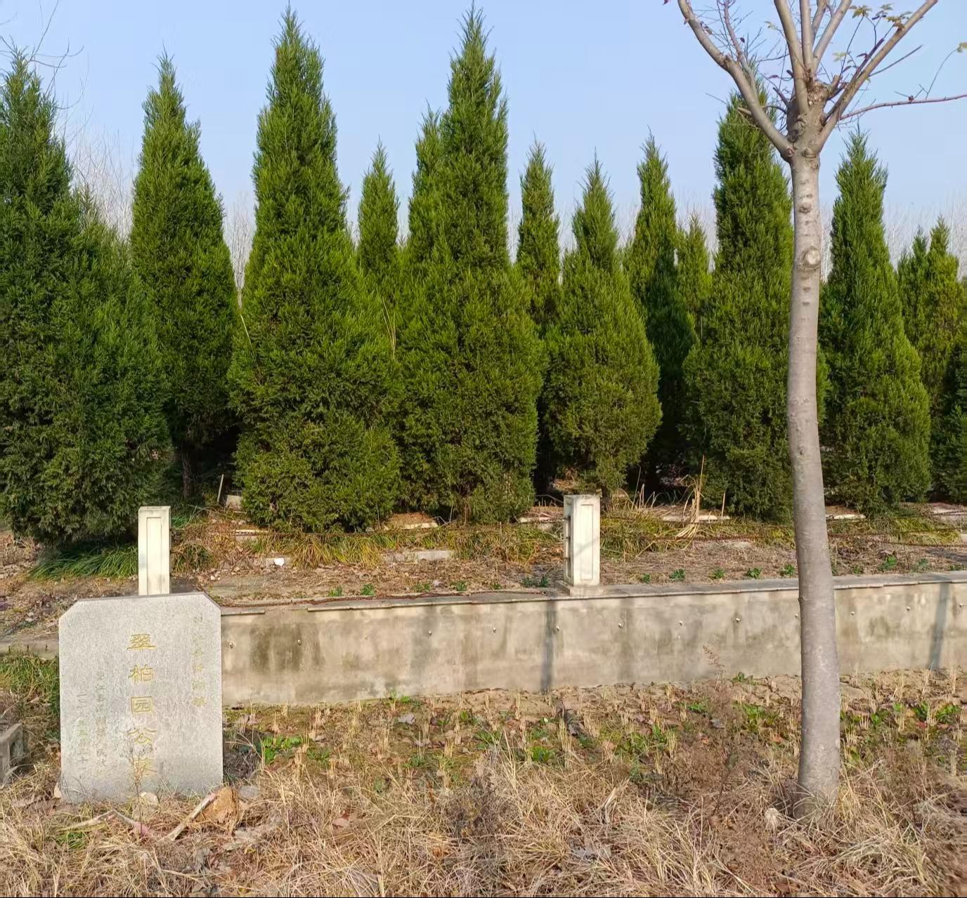 翠柏园公墓