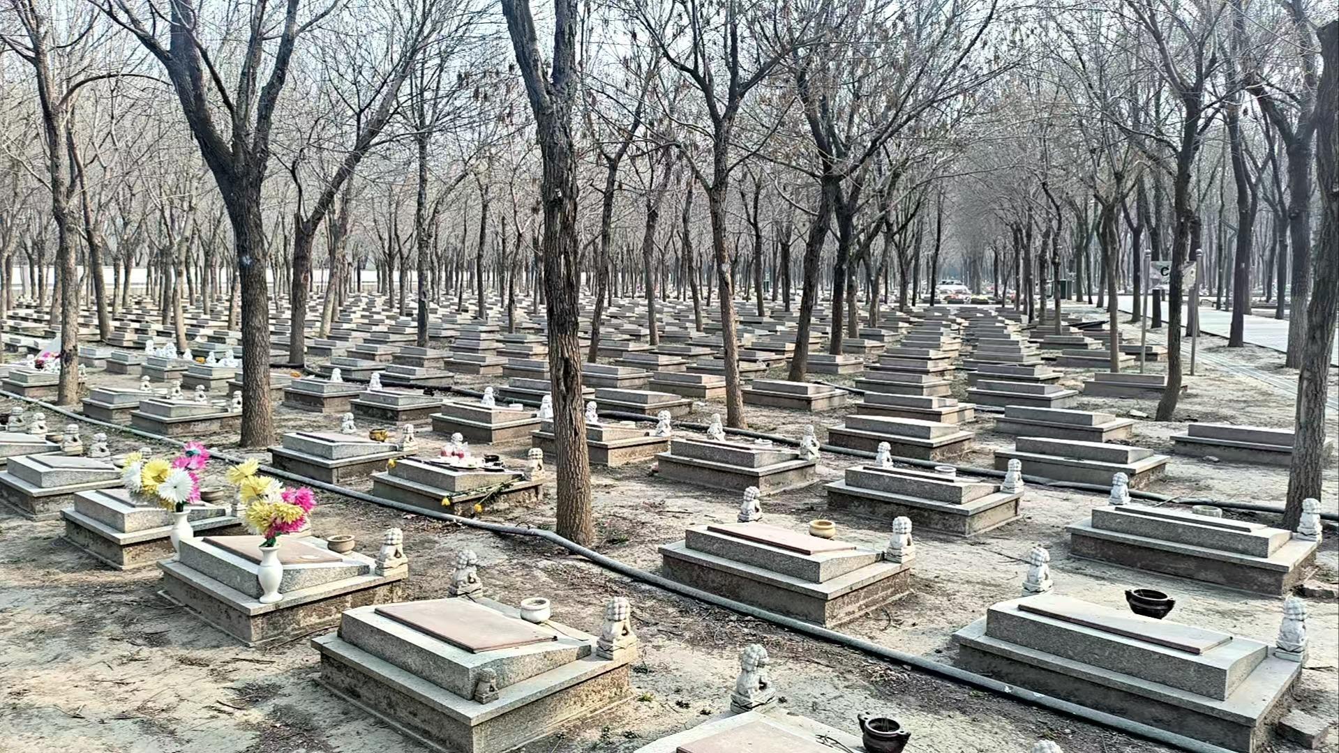 西红门镇公益性公墓园区图片