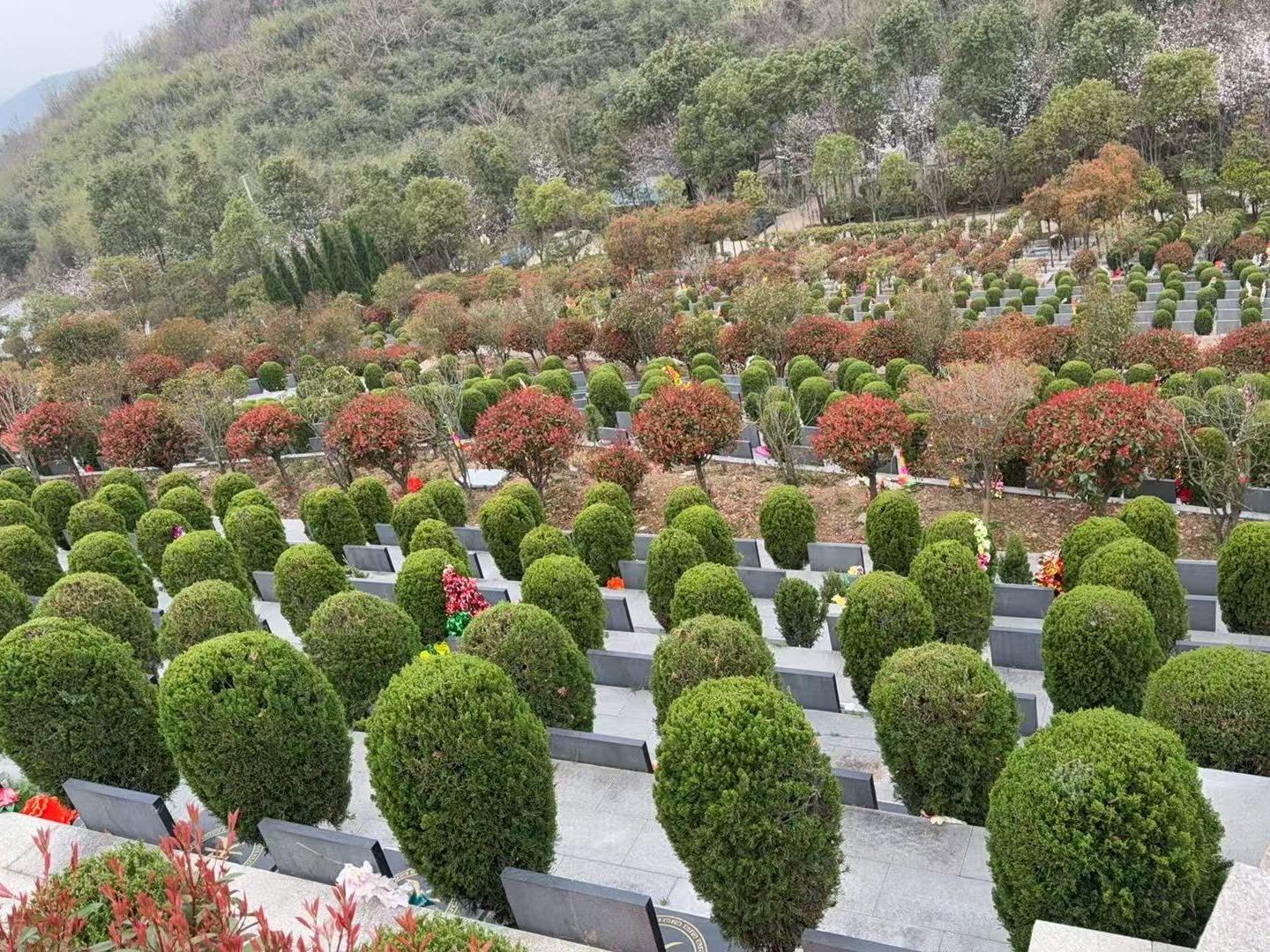 桐城市吕亭镇公益性公墓园区图片