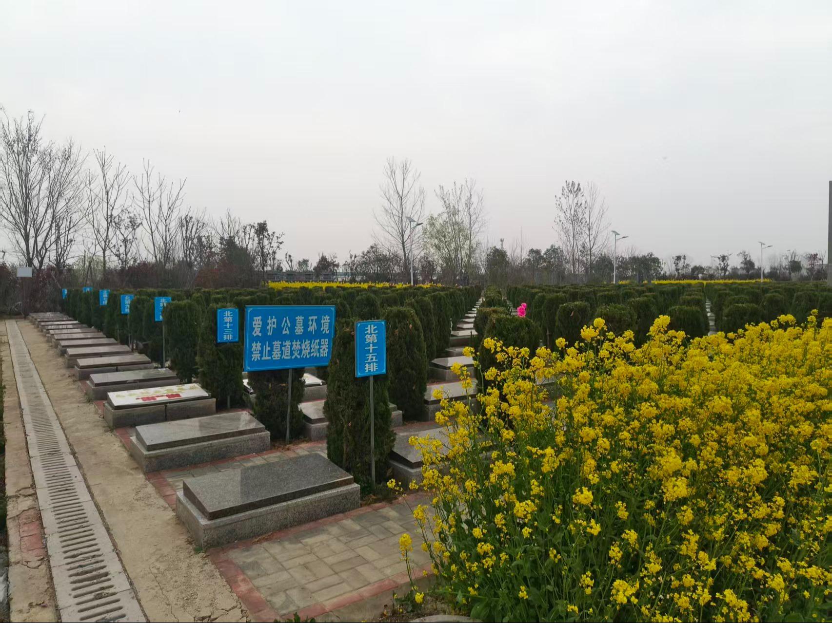 凤阳县大溪河镇七里公墓园区图片