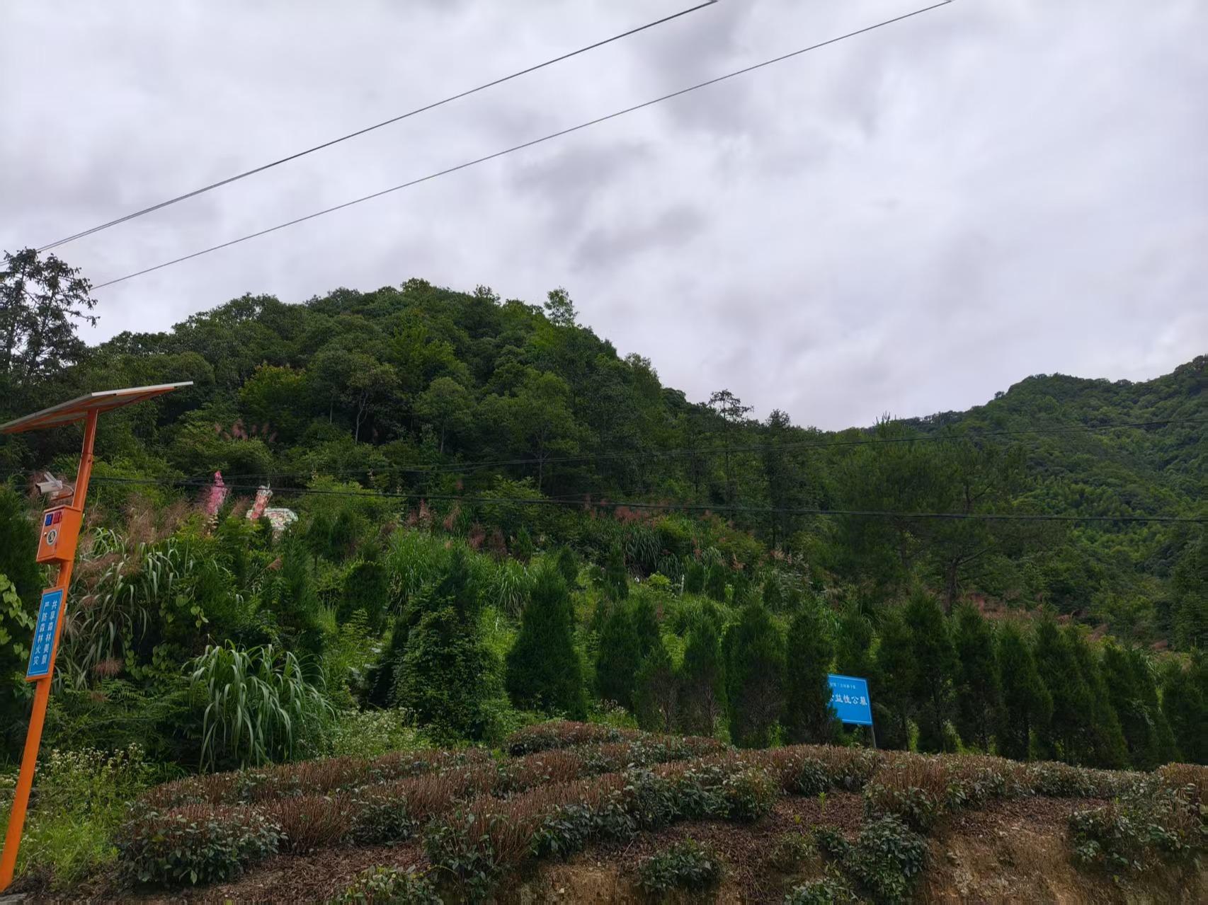 黟县三合村公墓园区图片