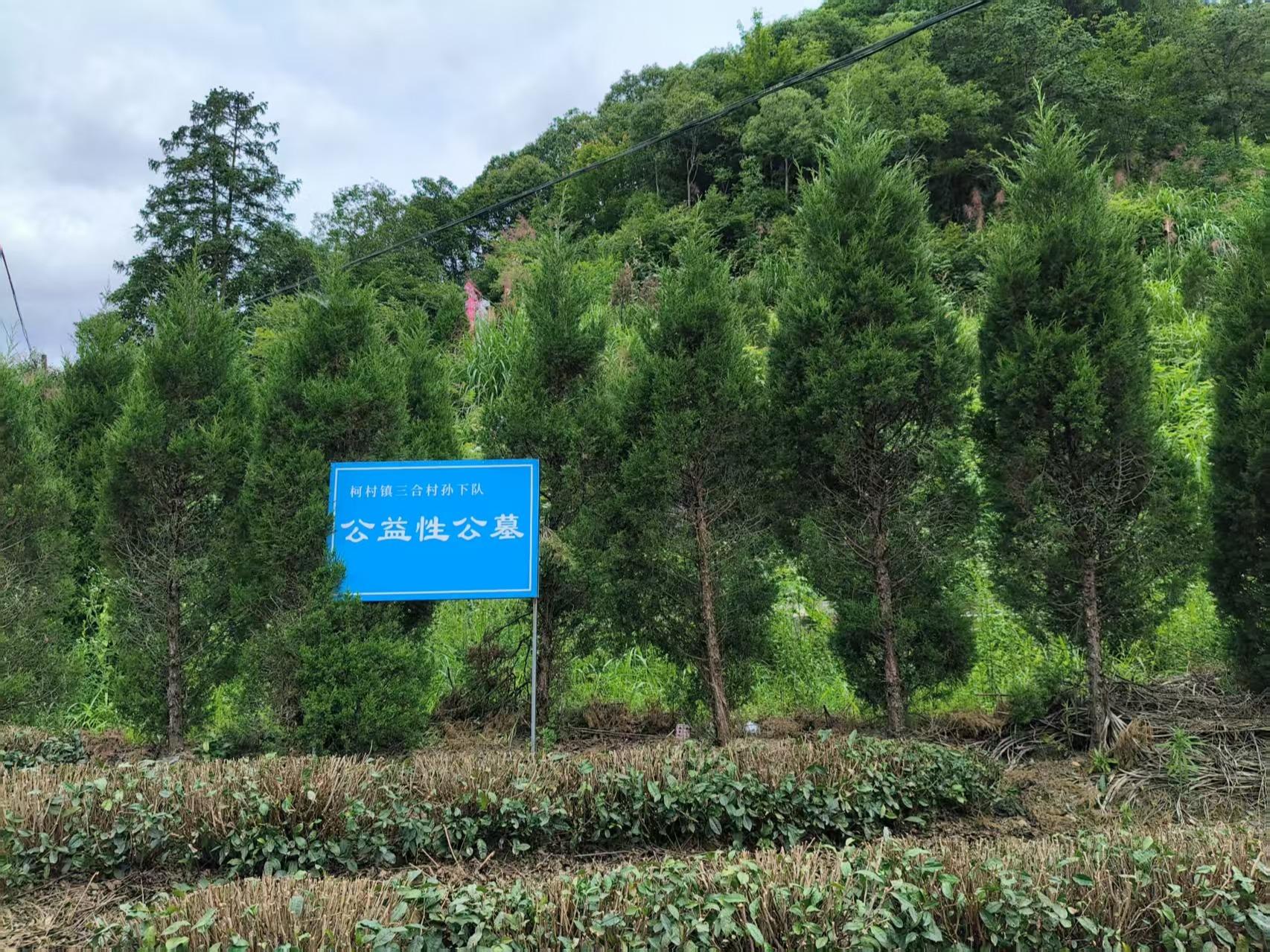 黟县三合村公墓