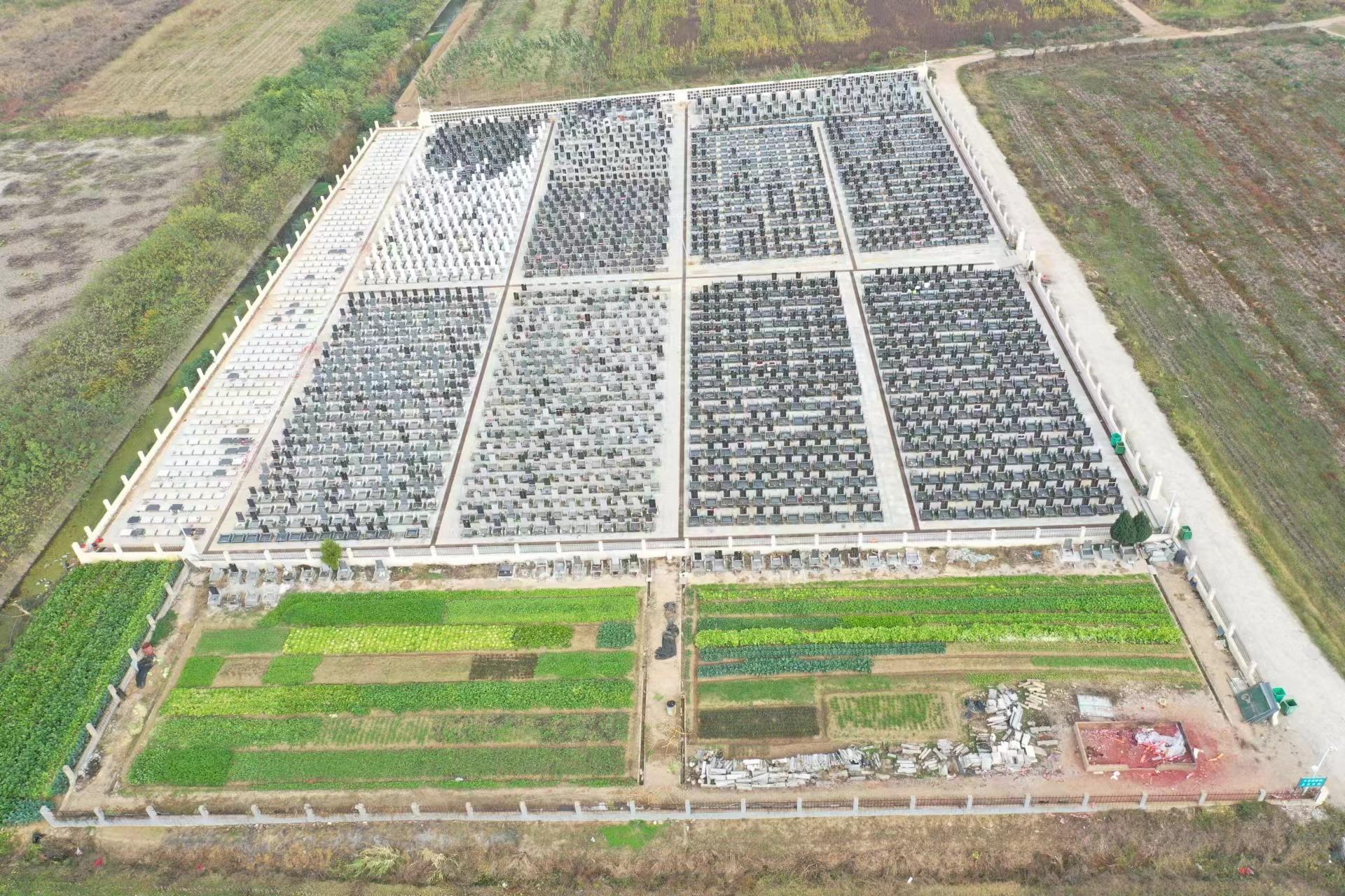 辛安渡街管家台公墓园区图片