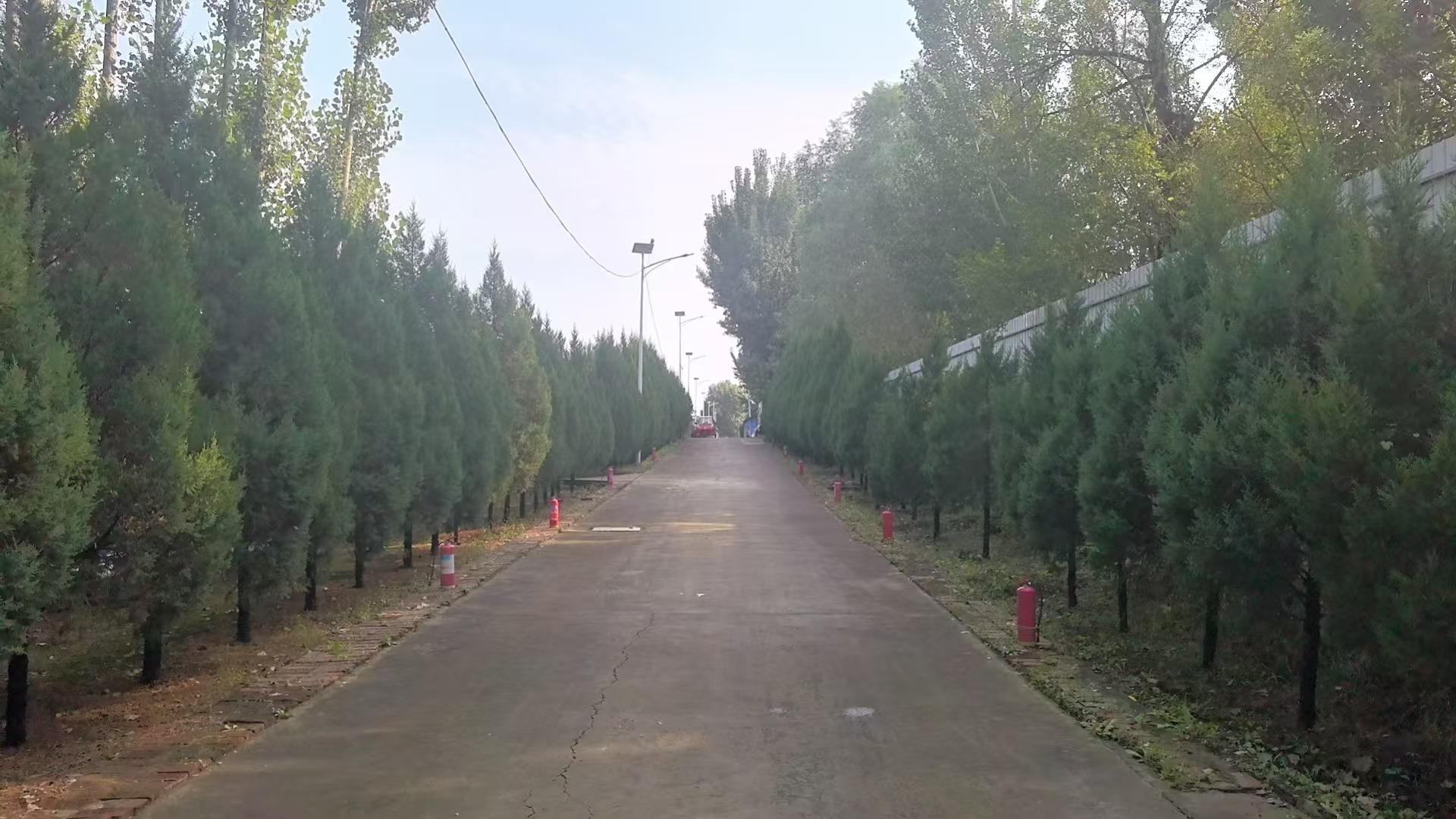 一街村公墓园区图片