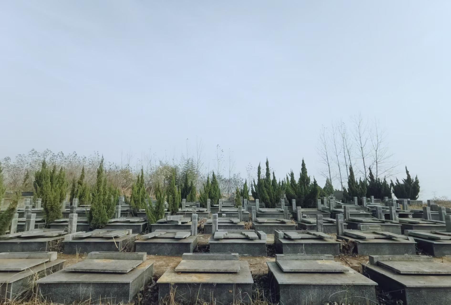 狮子岗乡青龙山公益性骨灰公墓项目园区图片