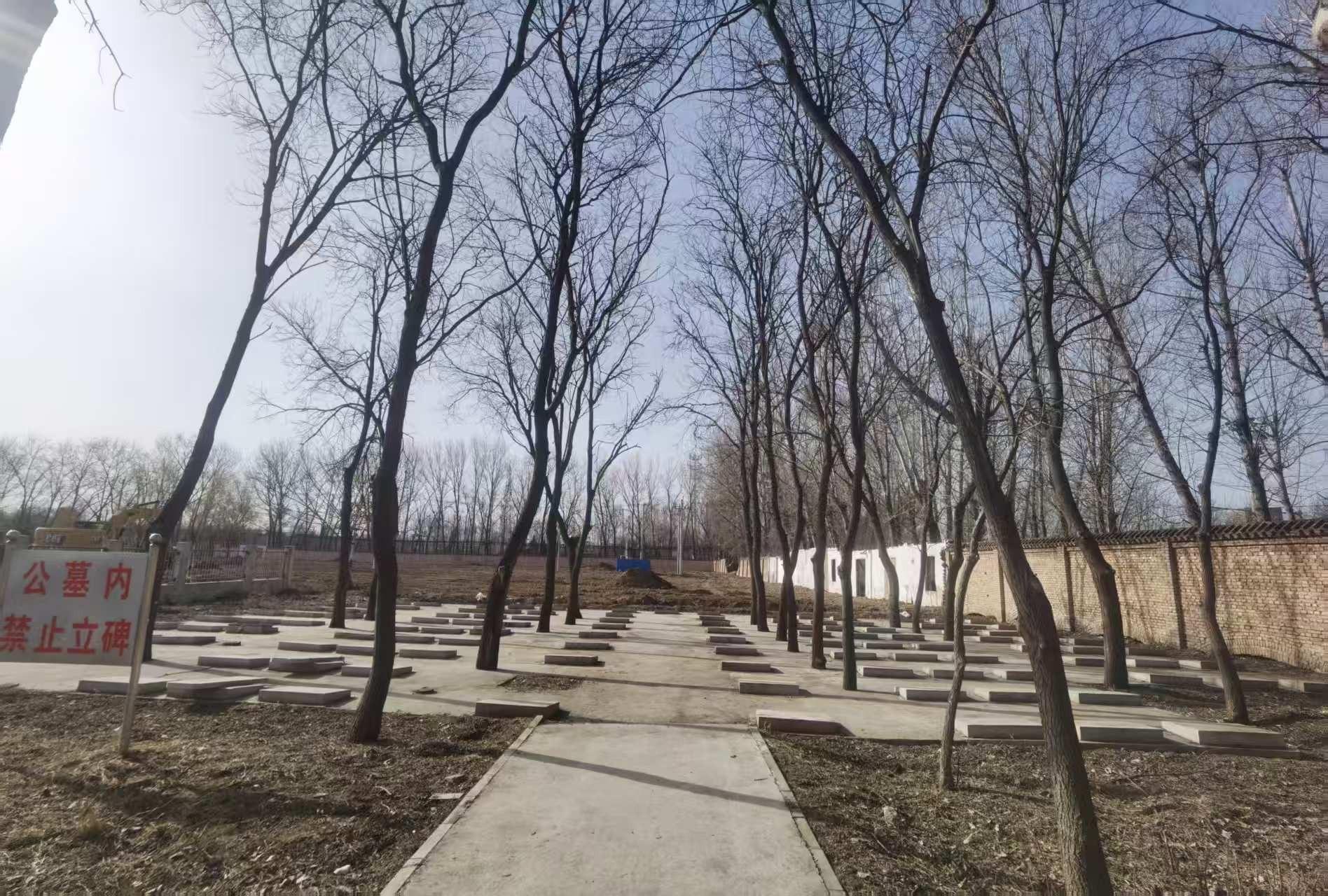 前桑园村公墓园区图片