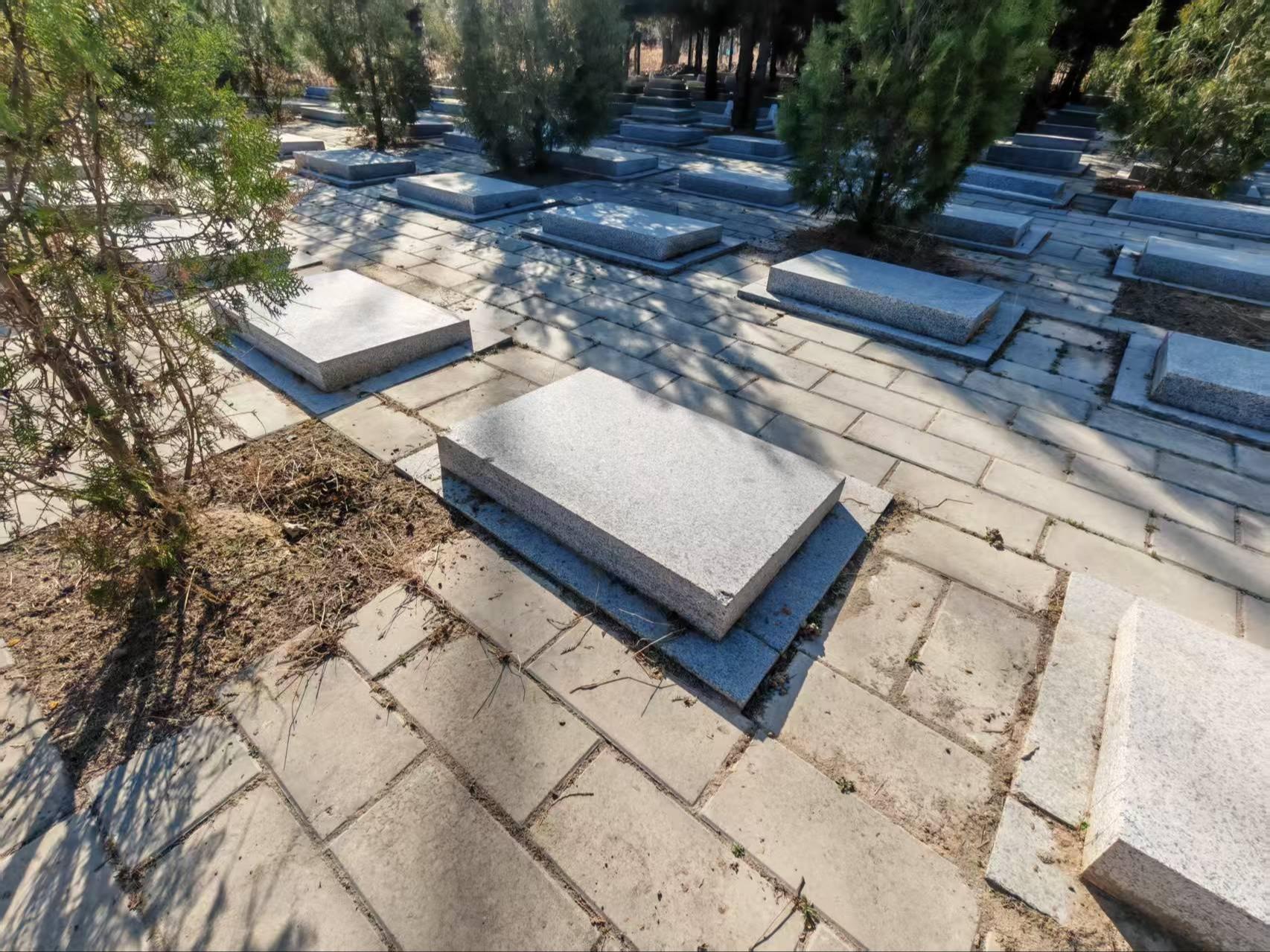 杨镇侉子营村公益性公墓园区图片
