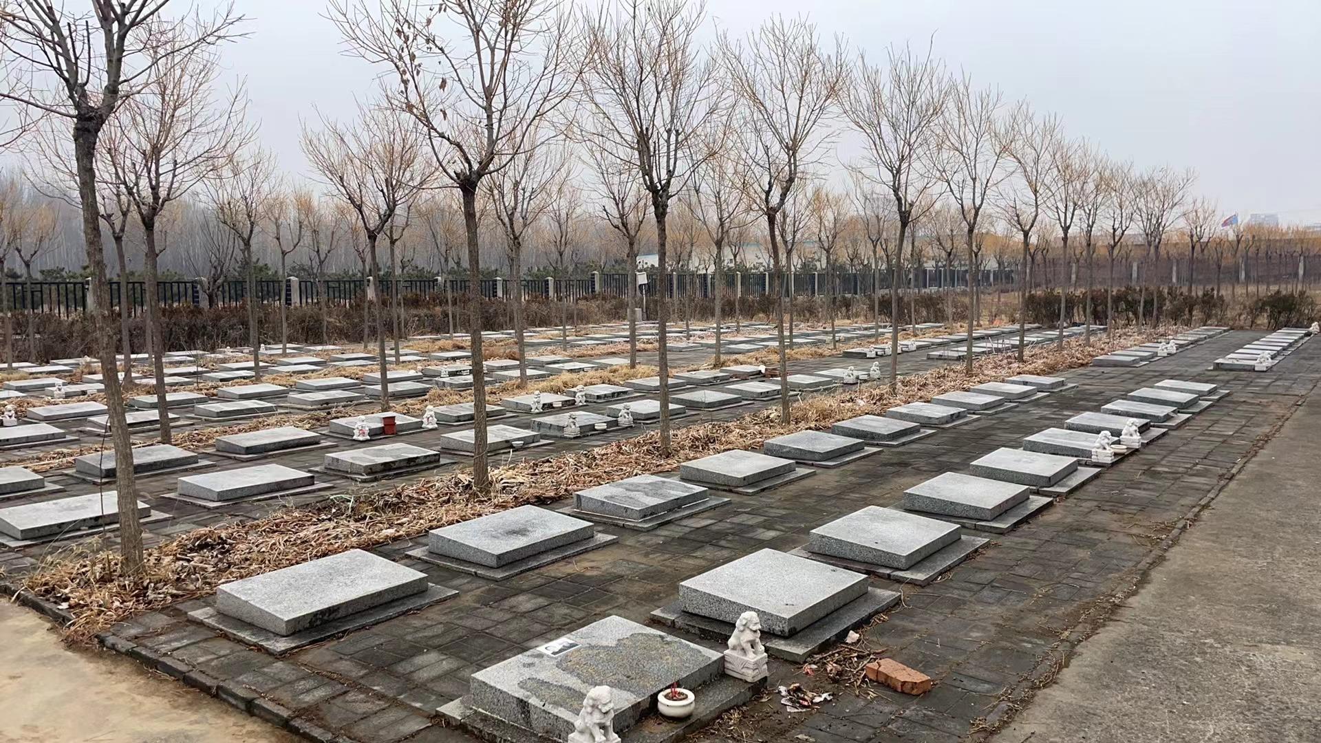 杨镇下坡村公益性公墓园区图片