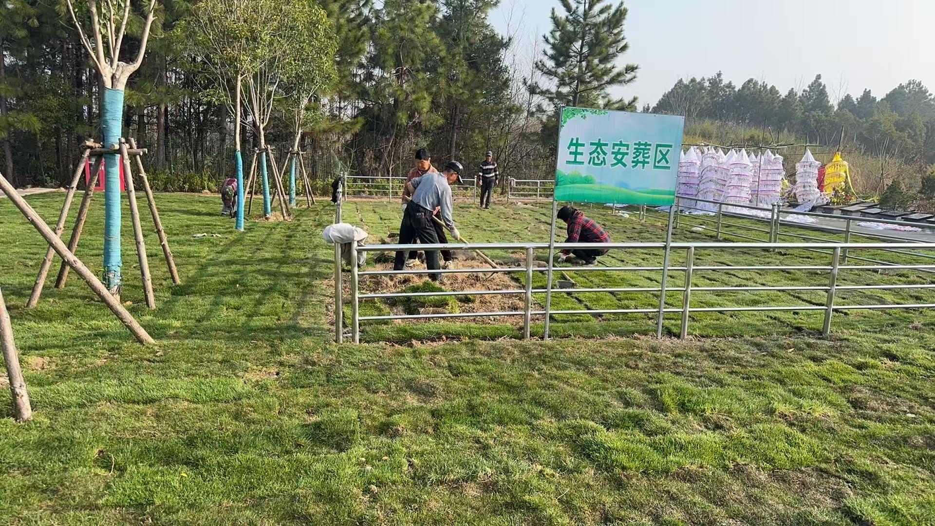 南陵县家发镇茶林公墓园区图片