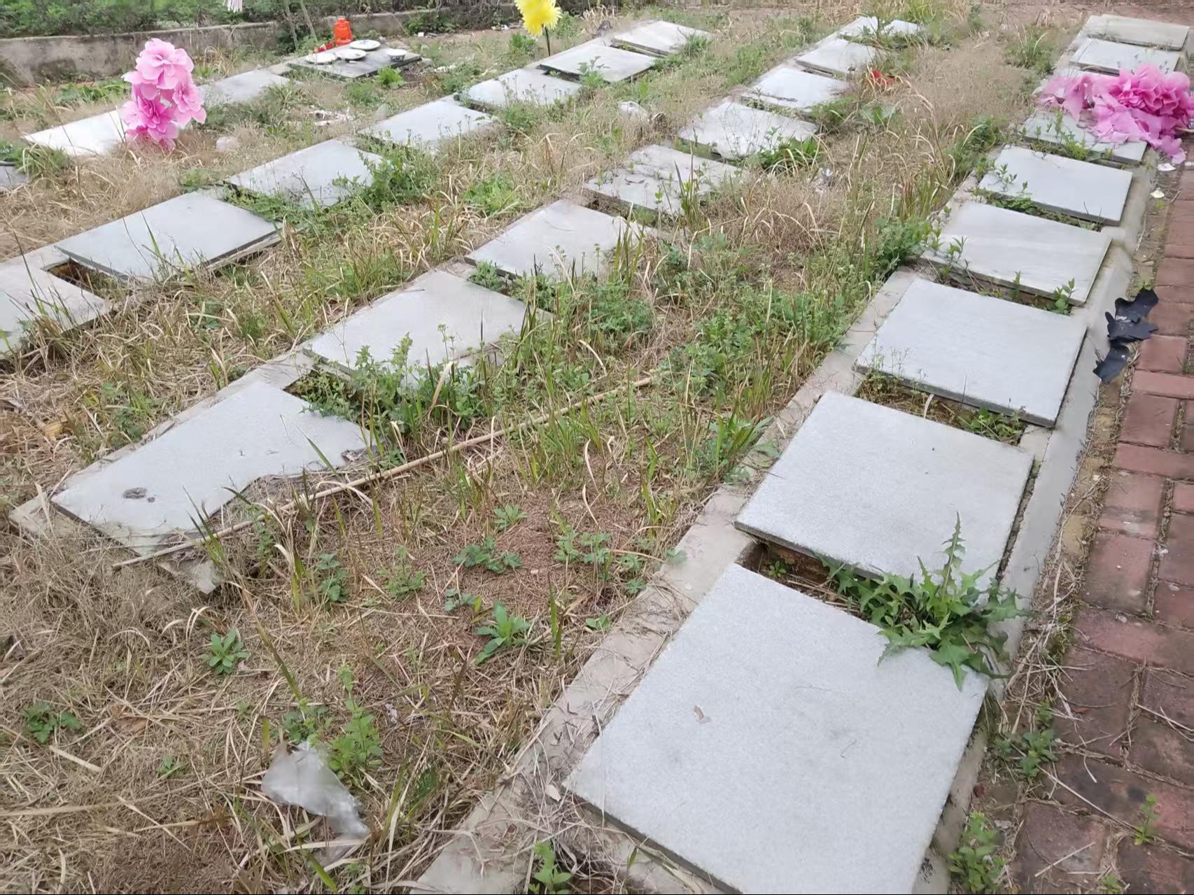 金安区双河镇公益性公墓（九龙山公墓）园区图片