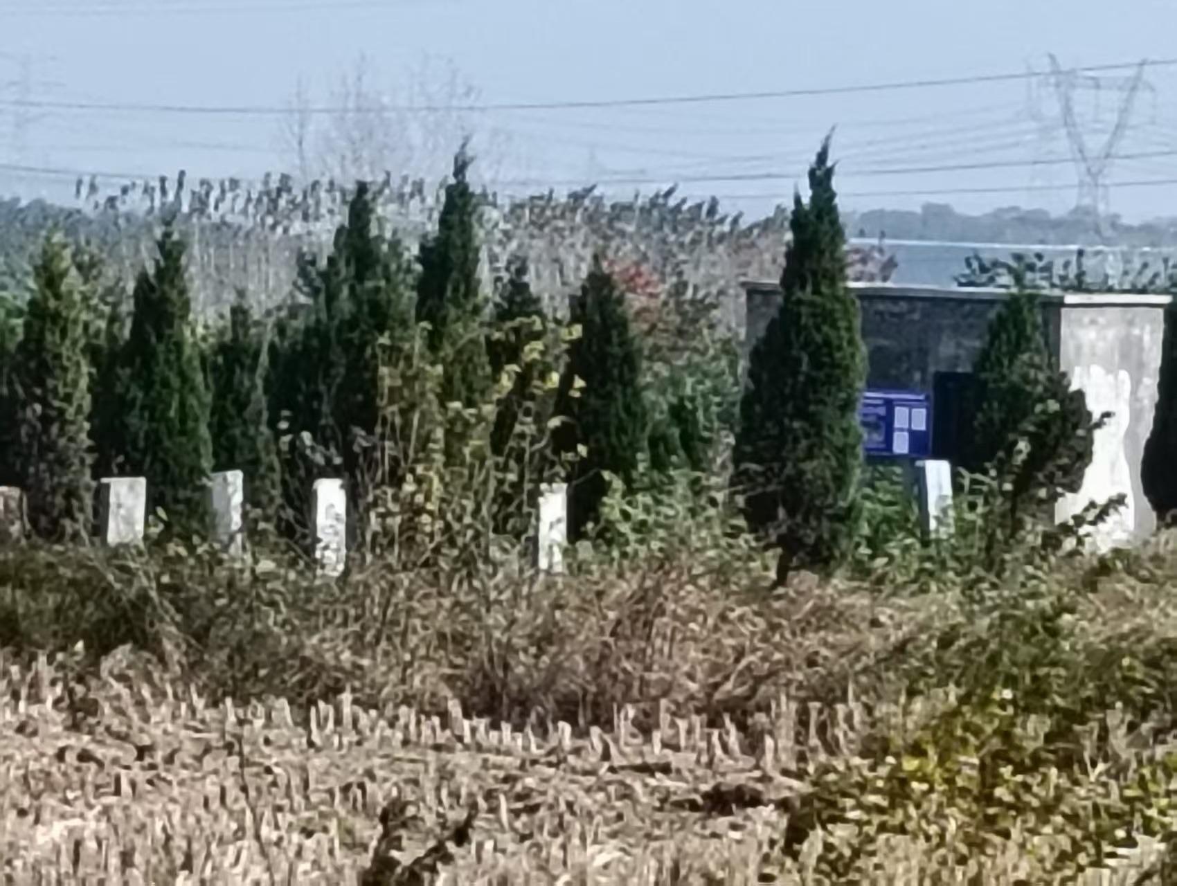 钟祥市冷水镇鲍岗村公墓