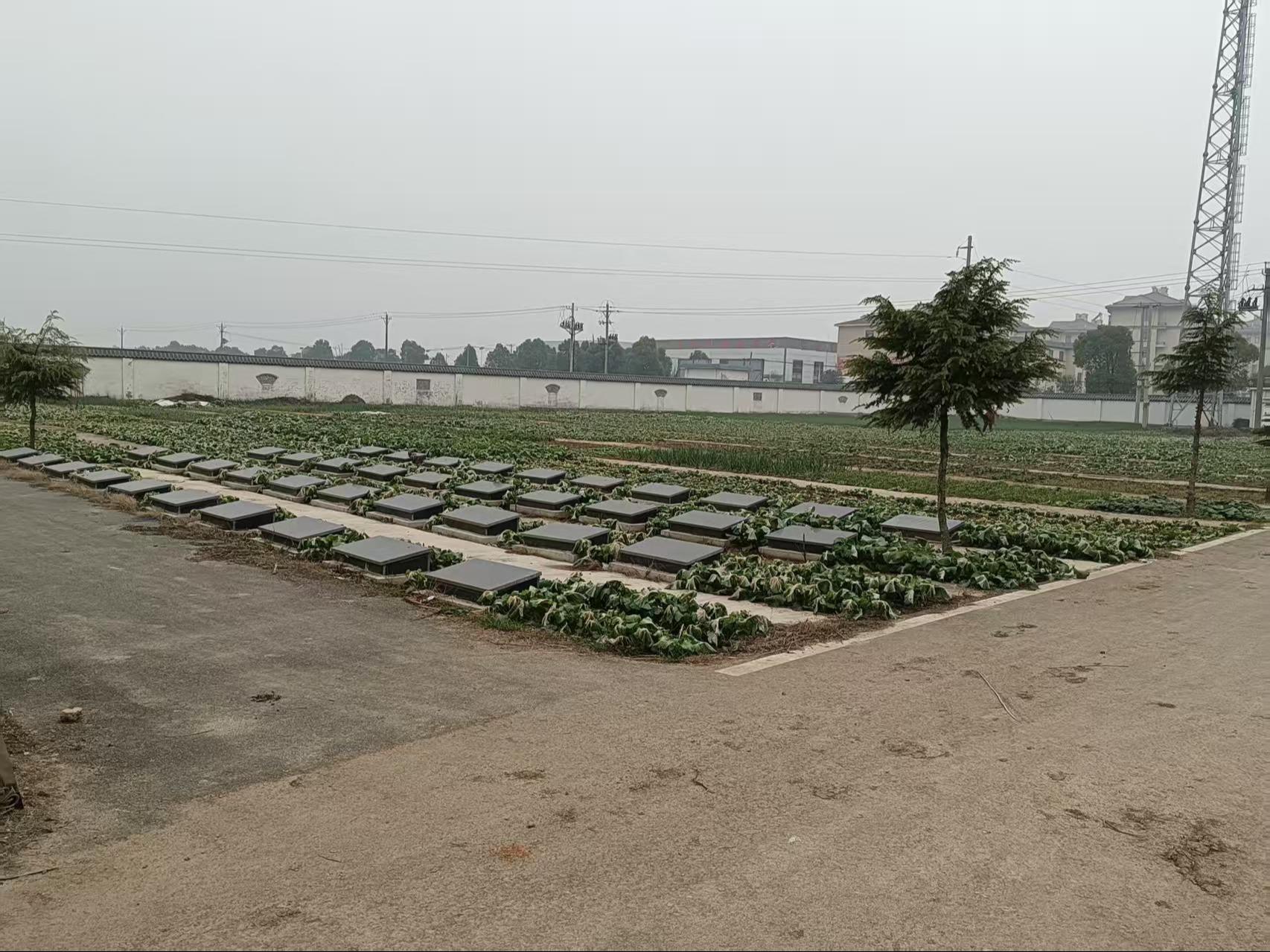 夏桥镇公益性墓地园区图片