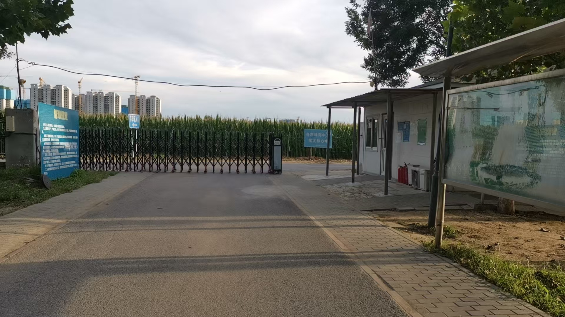 礼贤镇林下公益性公墓(汉)园区图片