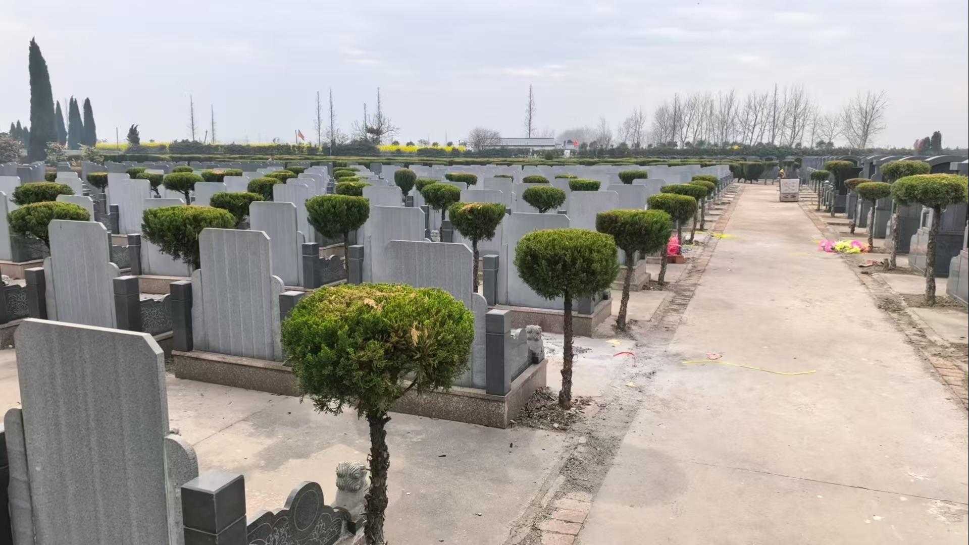 戴南镇张郭中心公墓园区图片