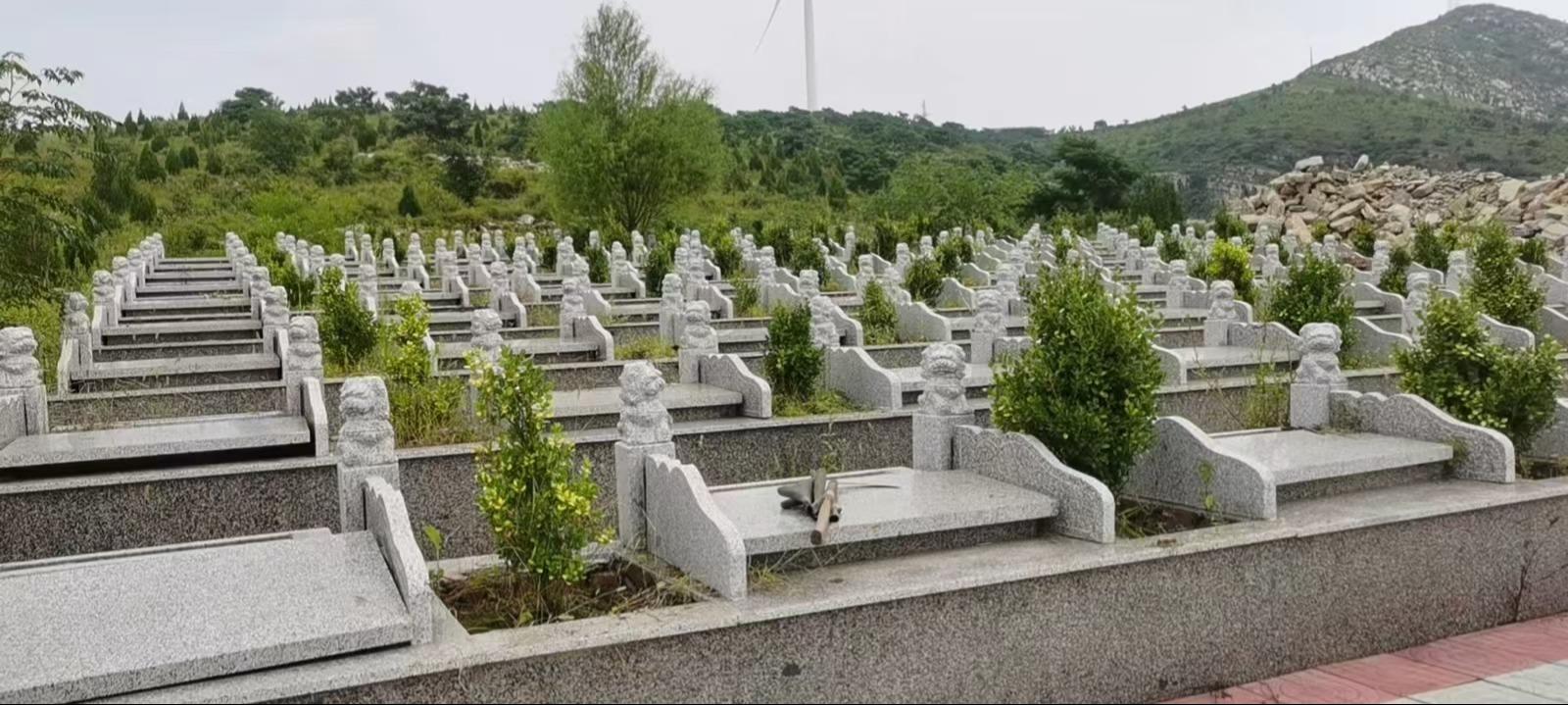 萧县永堌镇公益性公墓园区图片