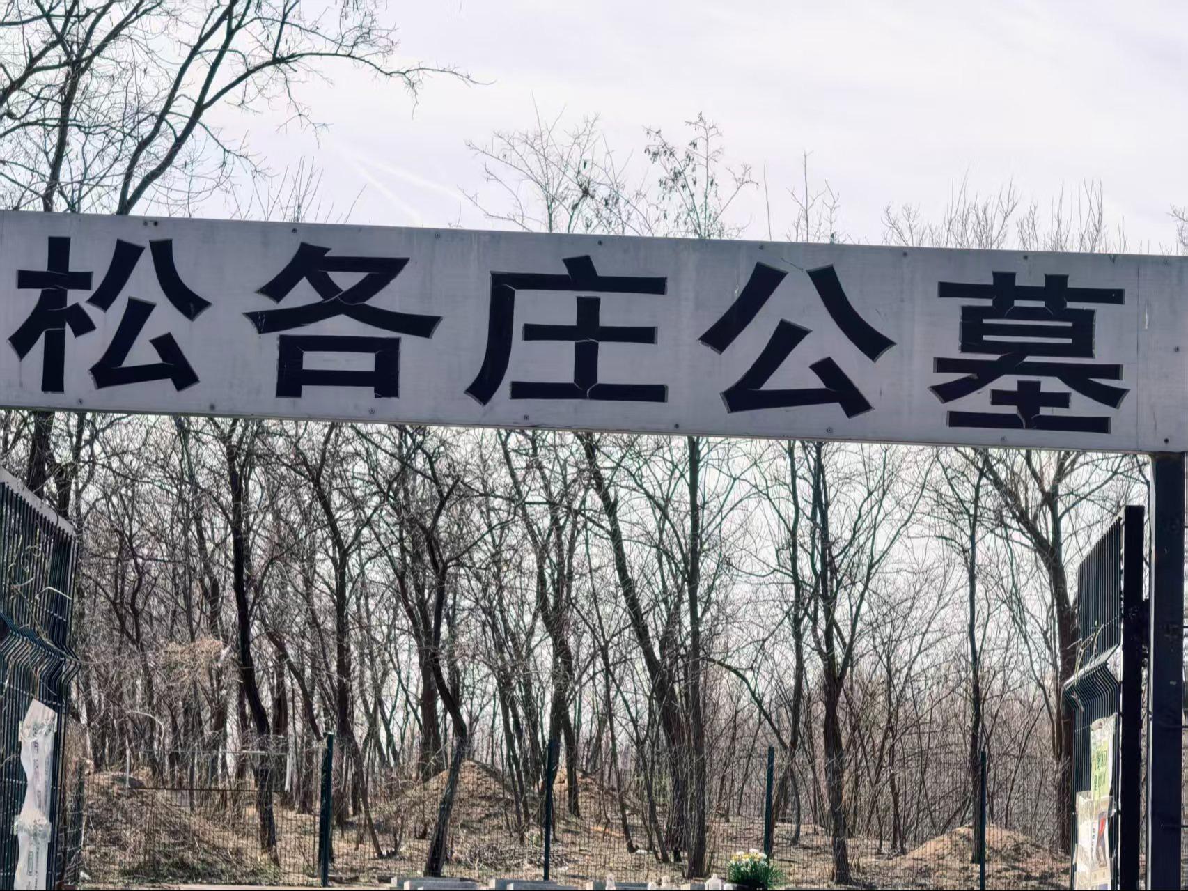 杨镇松各庄公益性公墓园区图片