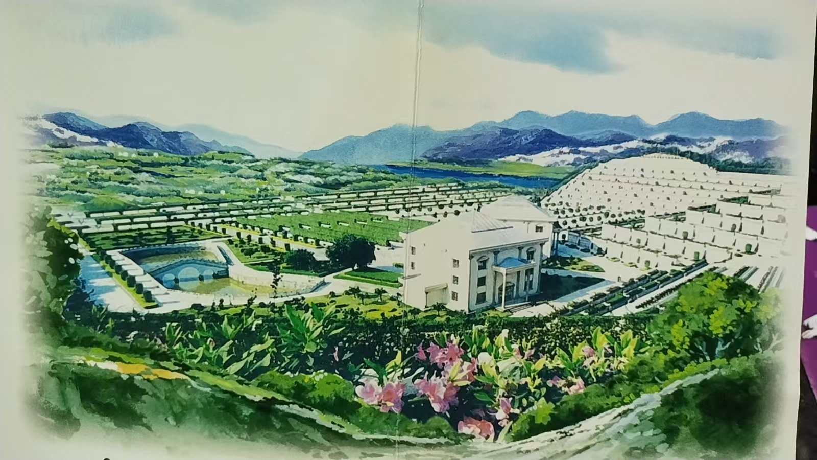 佛山市南海区里水镇永乐园园区图片