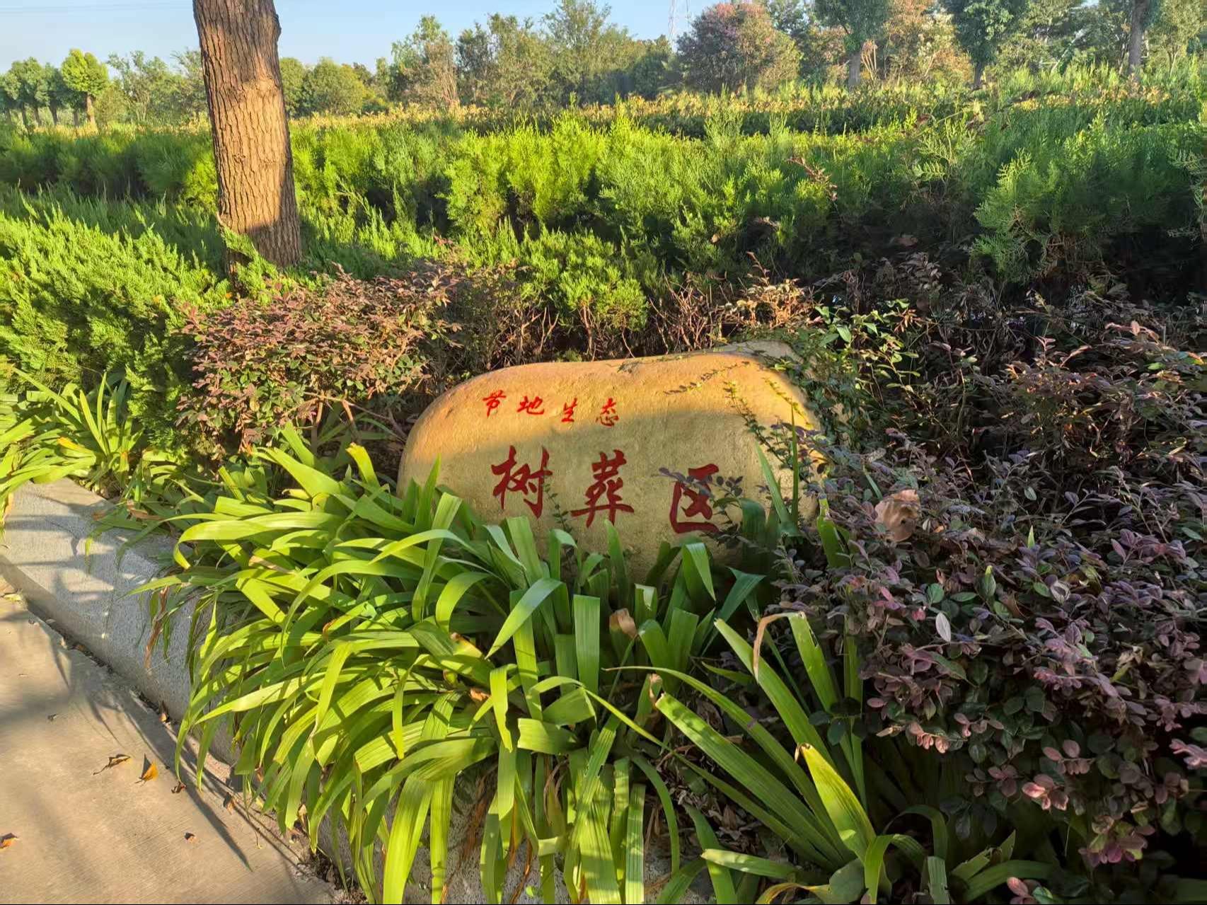 丹阳市云阳街道追思园园区图片