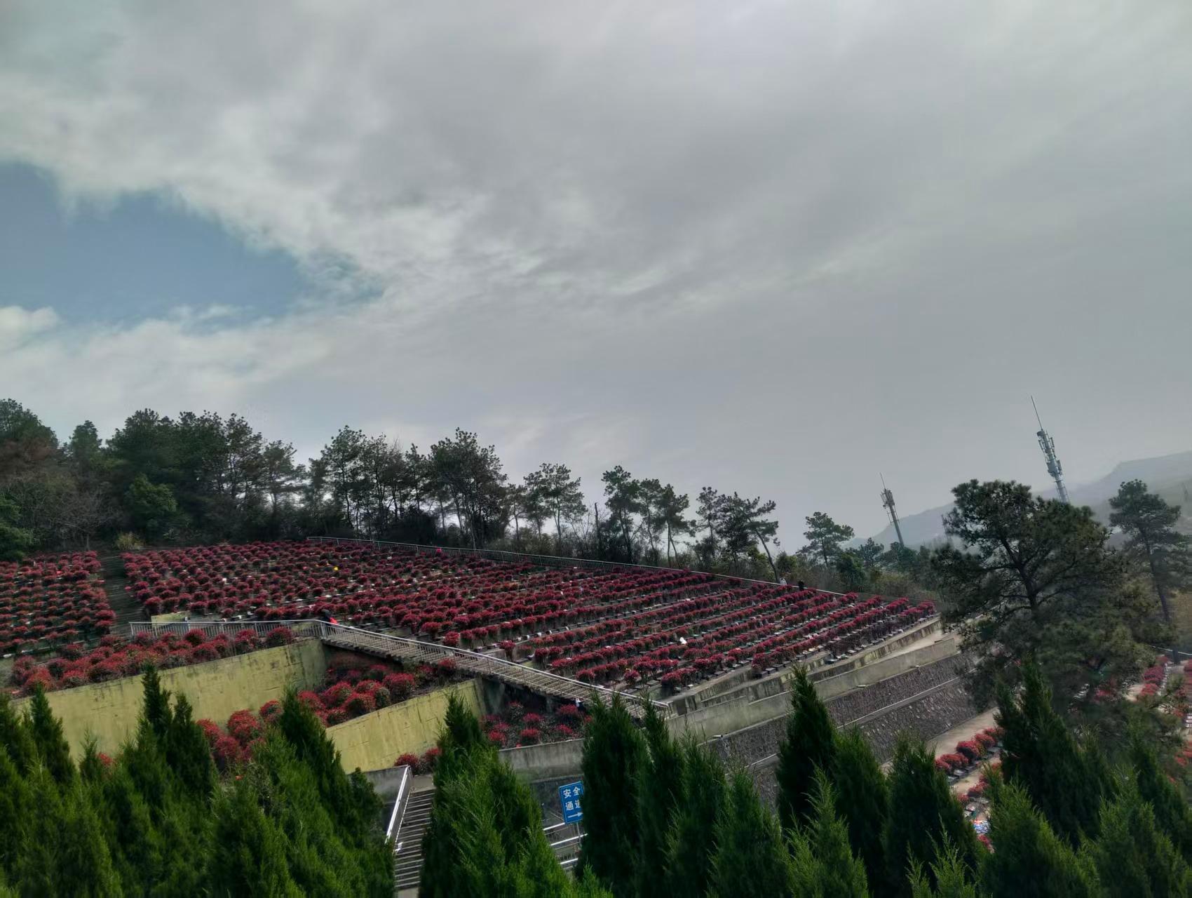 宜兴市张渚镇公墓园区图片