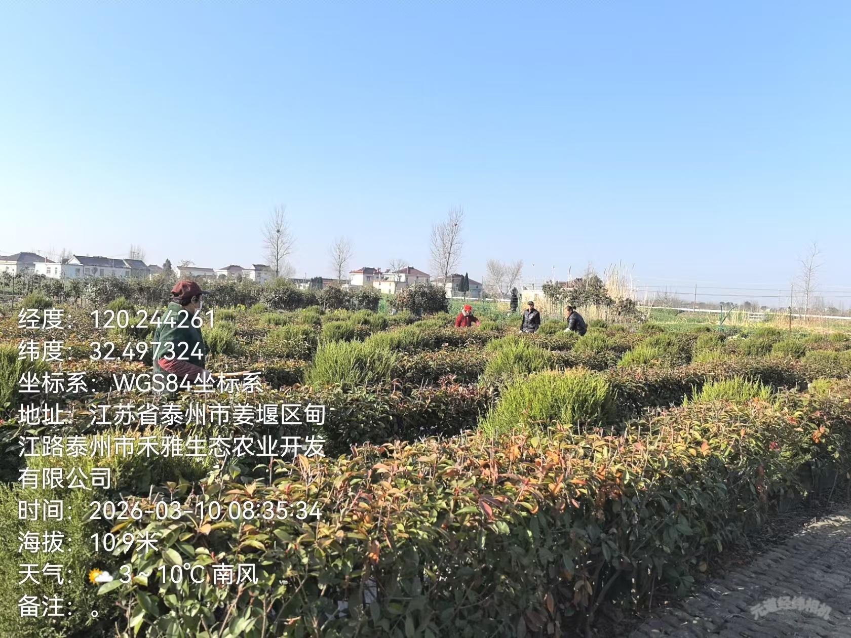 白米永安公墓园区图片