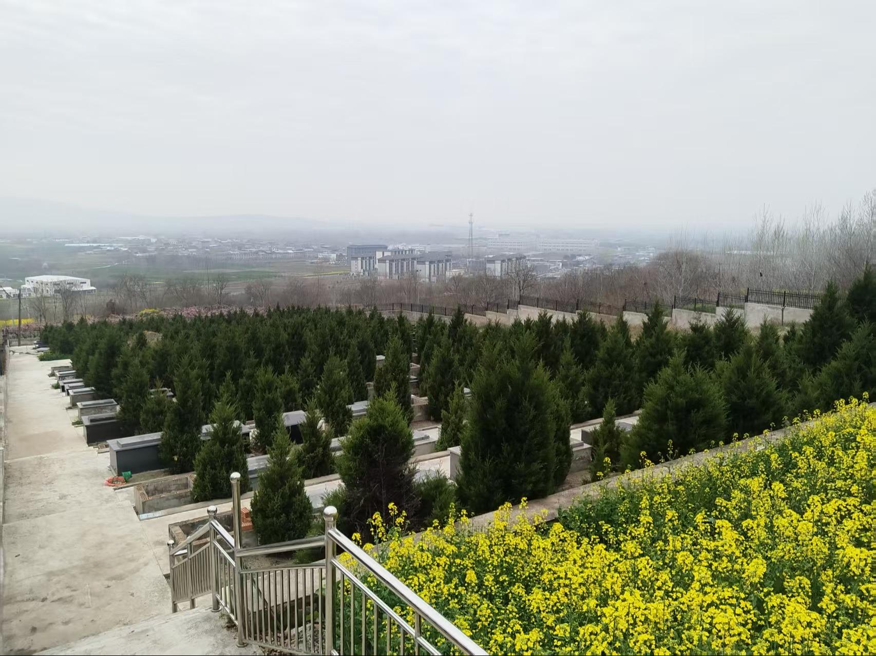 明光市涧溪镇涧溪村公益性公墓园区图片