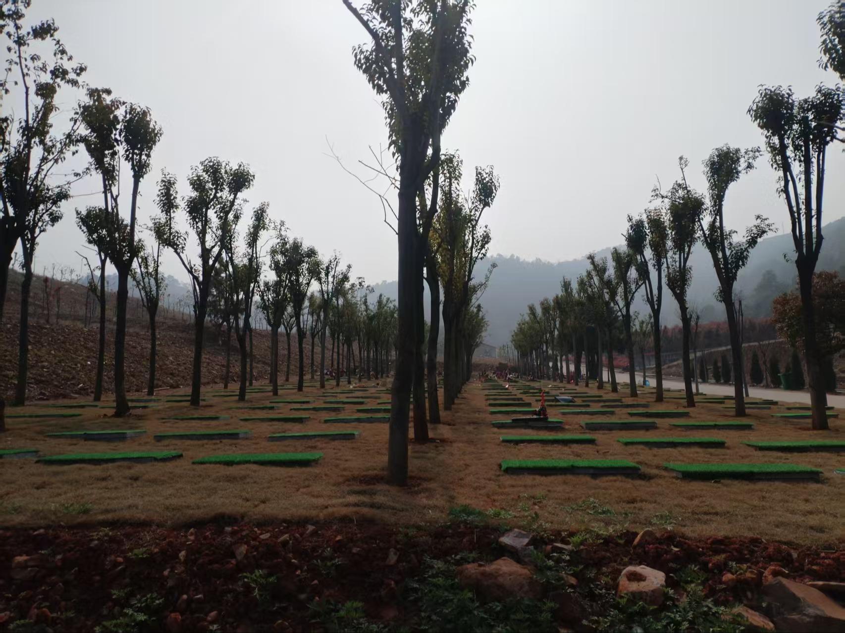 宜兴市丁蜀镇洑东阳山公墓园区图片