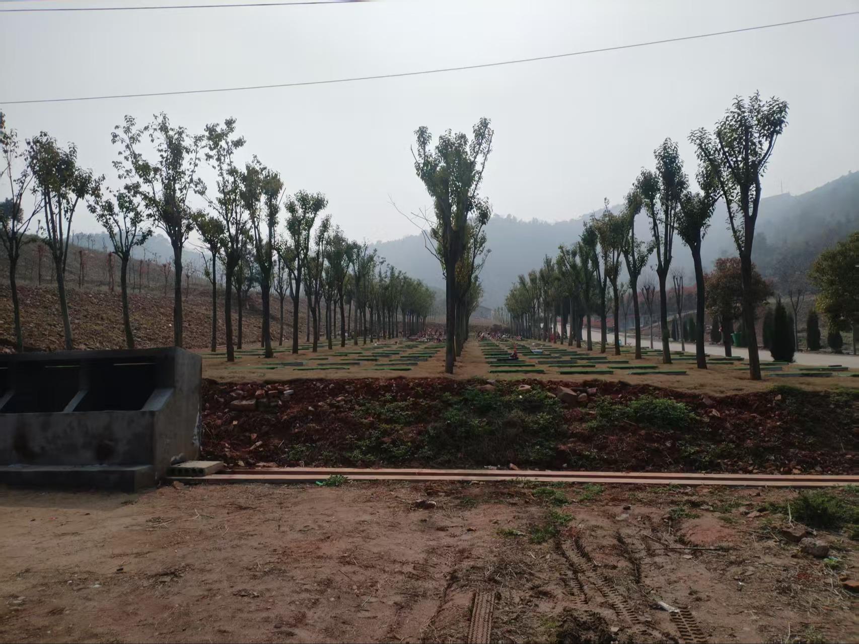 宜兴市丁蜀镇洑东阳山公墓园区图片