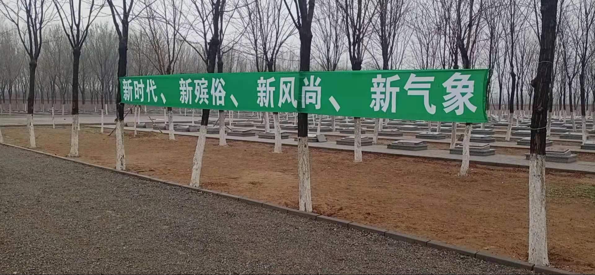 安定镇公益性公墓园区图片