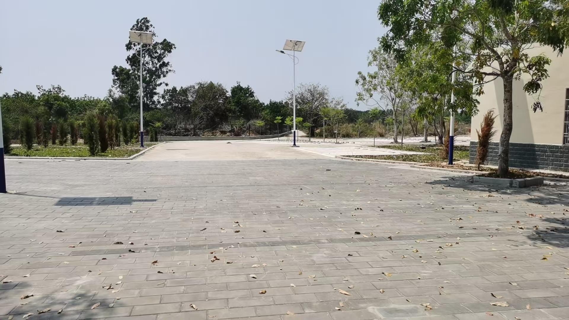 排浦小江公墓园区图片