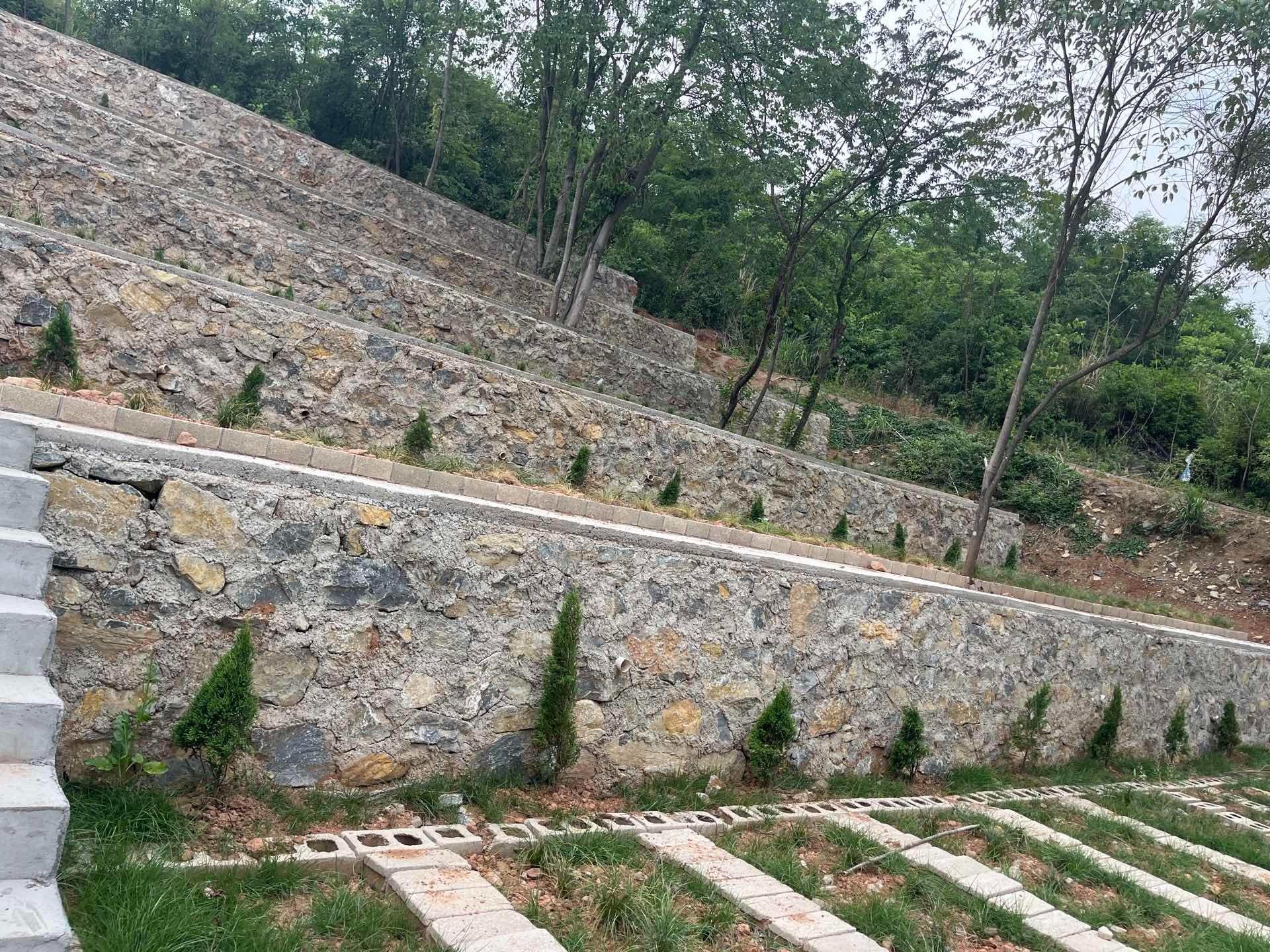 黄荆庄生态陵园