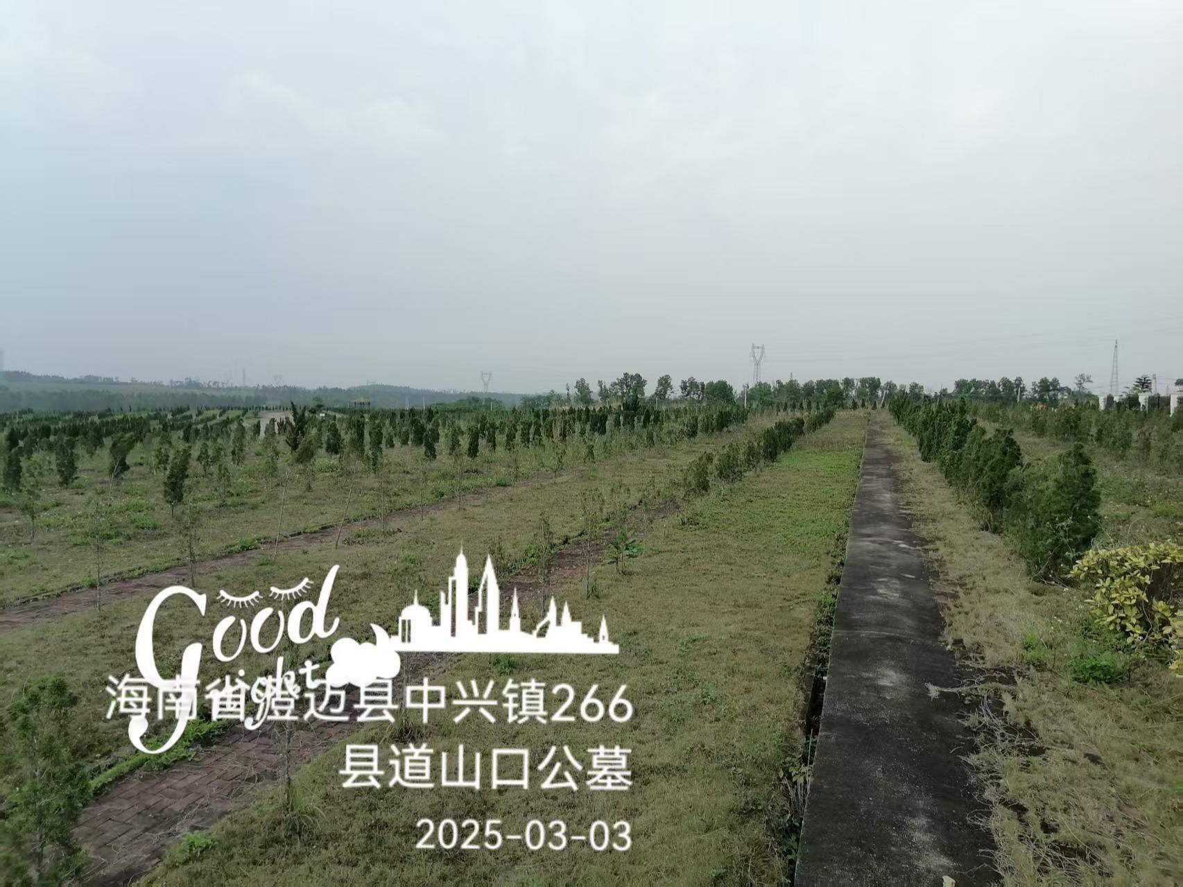 澄迈山口(县级)公益性公墓园区图片