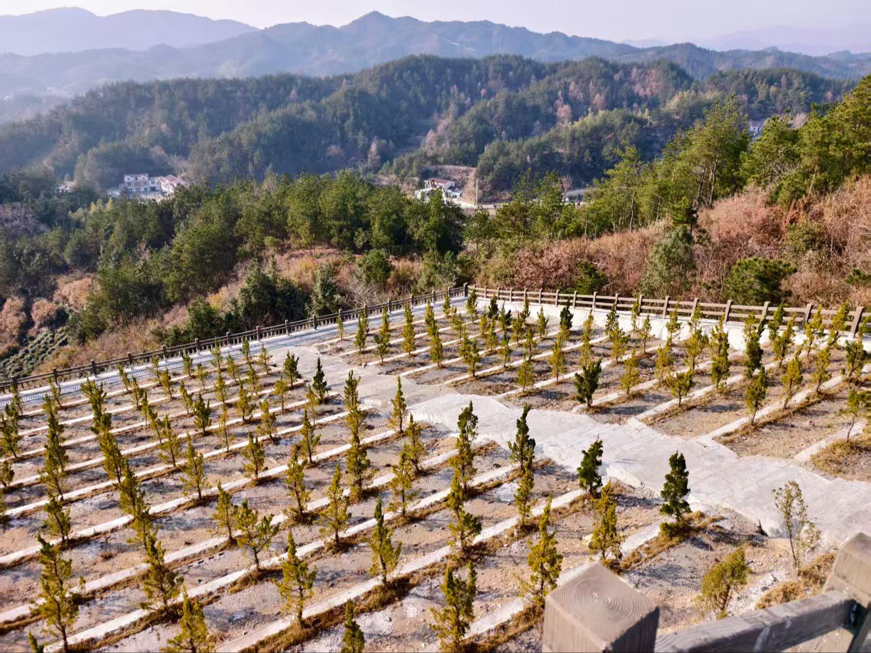 岳西县古坊乡公益性公墓园区图片