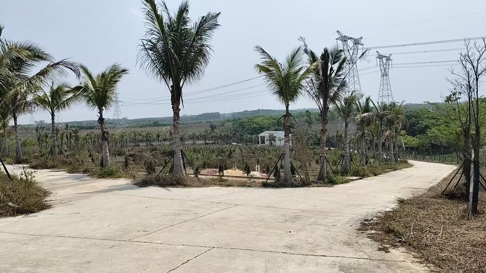 王五石马岭公墓园区图片