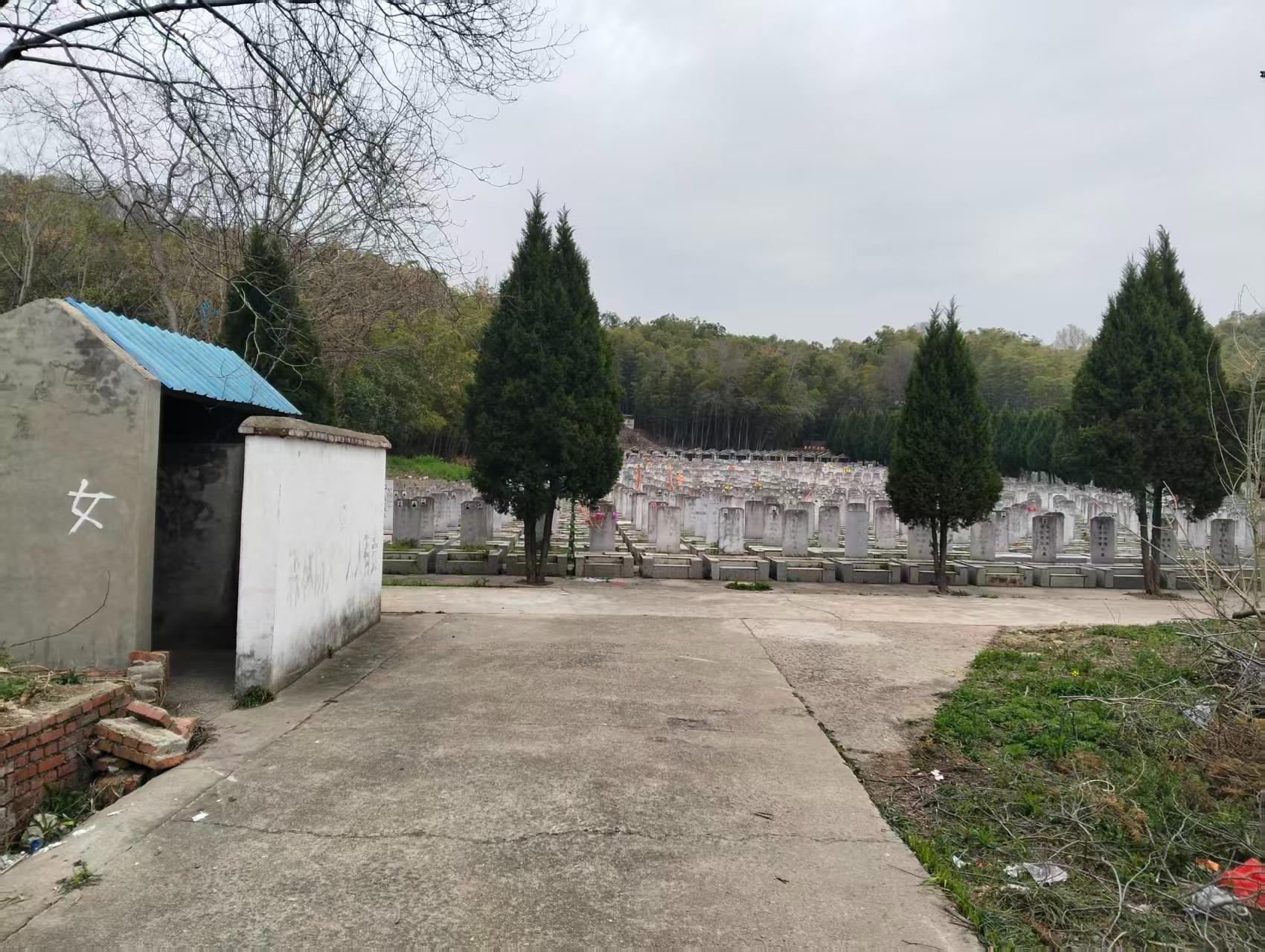 白马山公墓园区图片