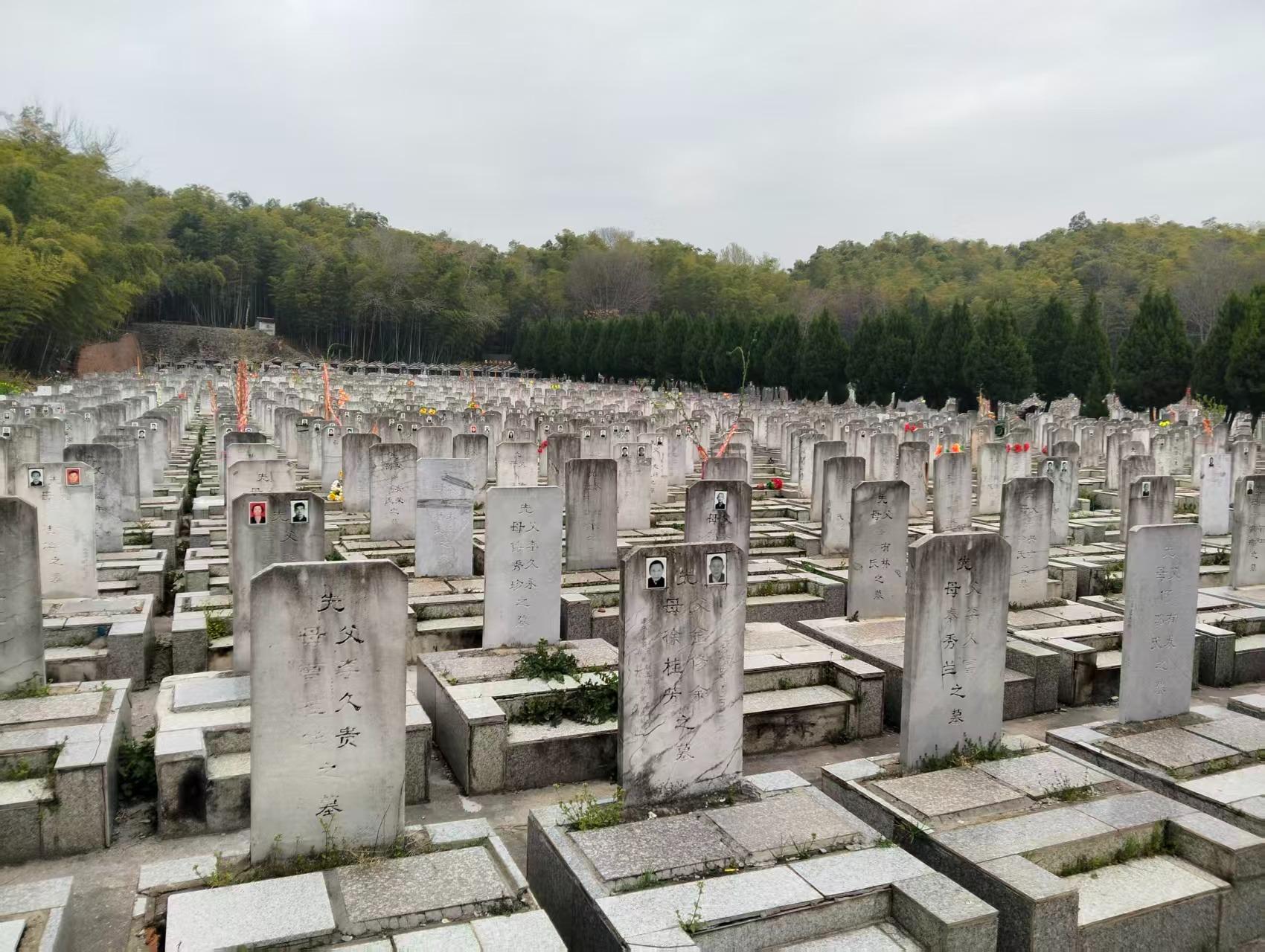 白马山公墓园区图片