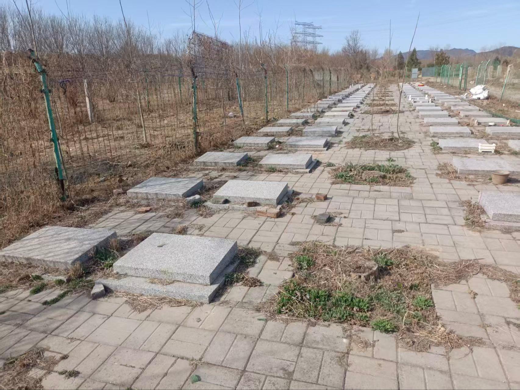 北京市顺义区张镇虫王庙公墓