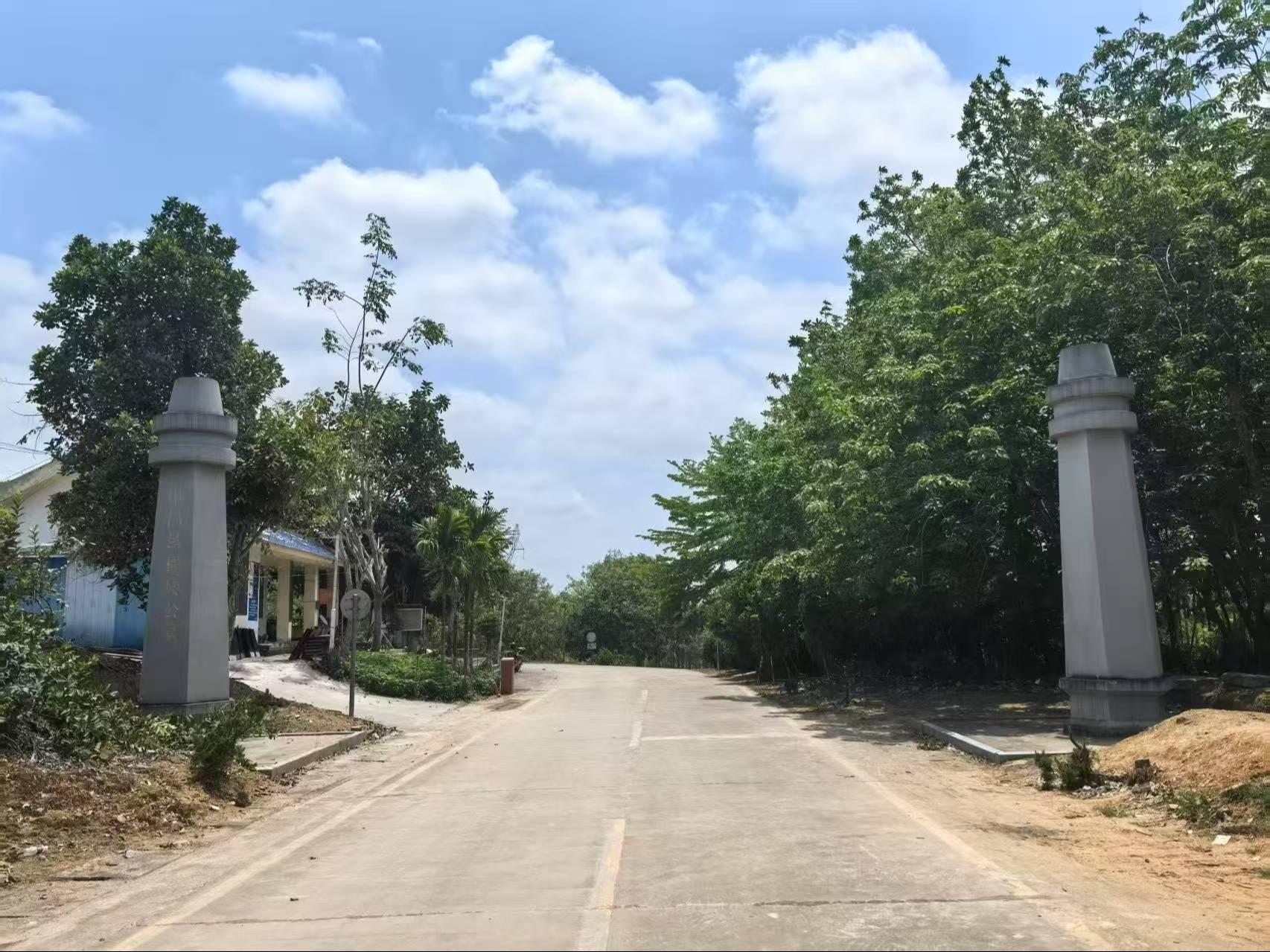 屯昌县横岭公墓